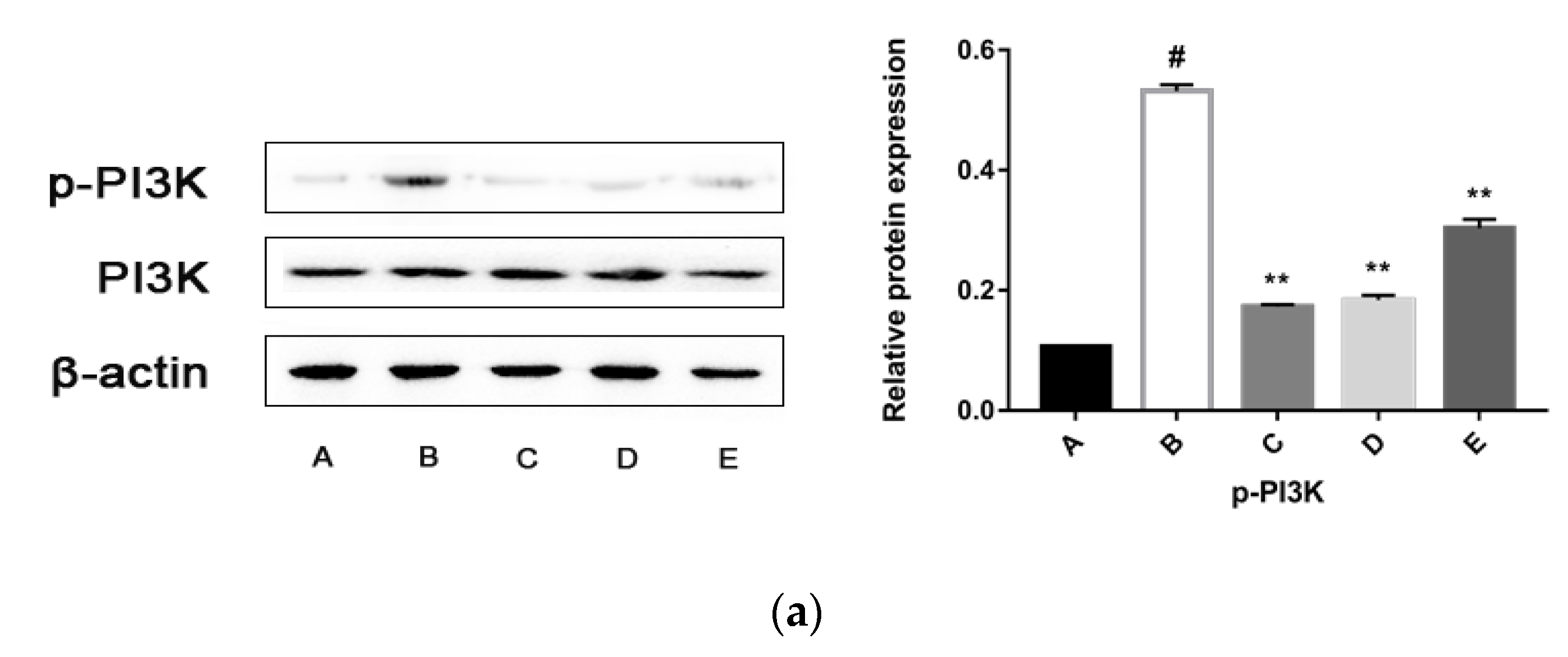 Molecules 24 03282 g007a Molecules 24 03282 g007a