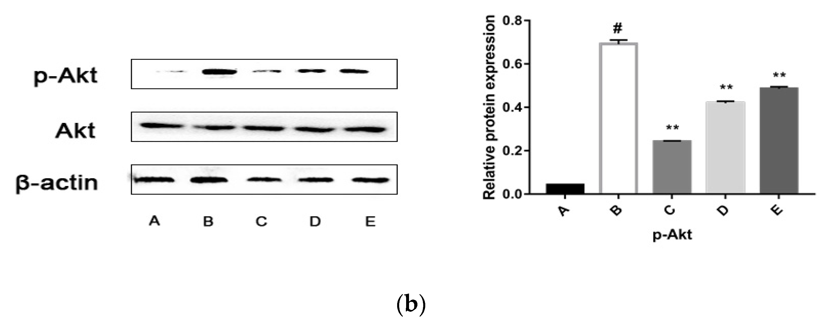 Molecules 24 03282 g007b Molecules 24 03282 g007b