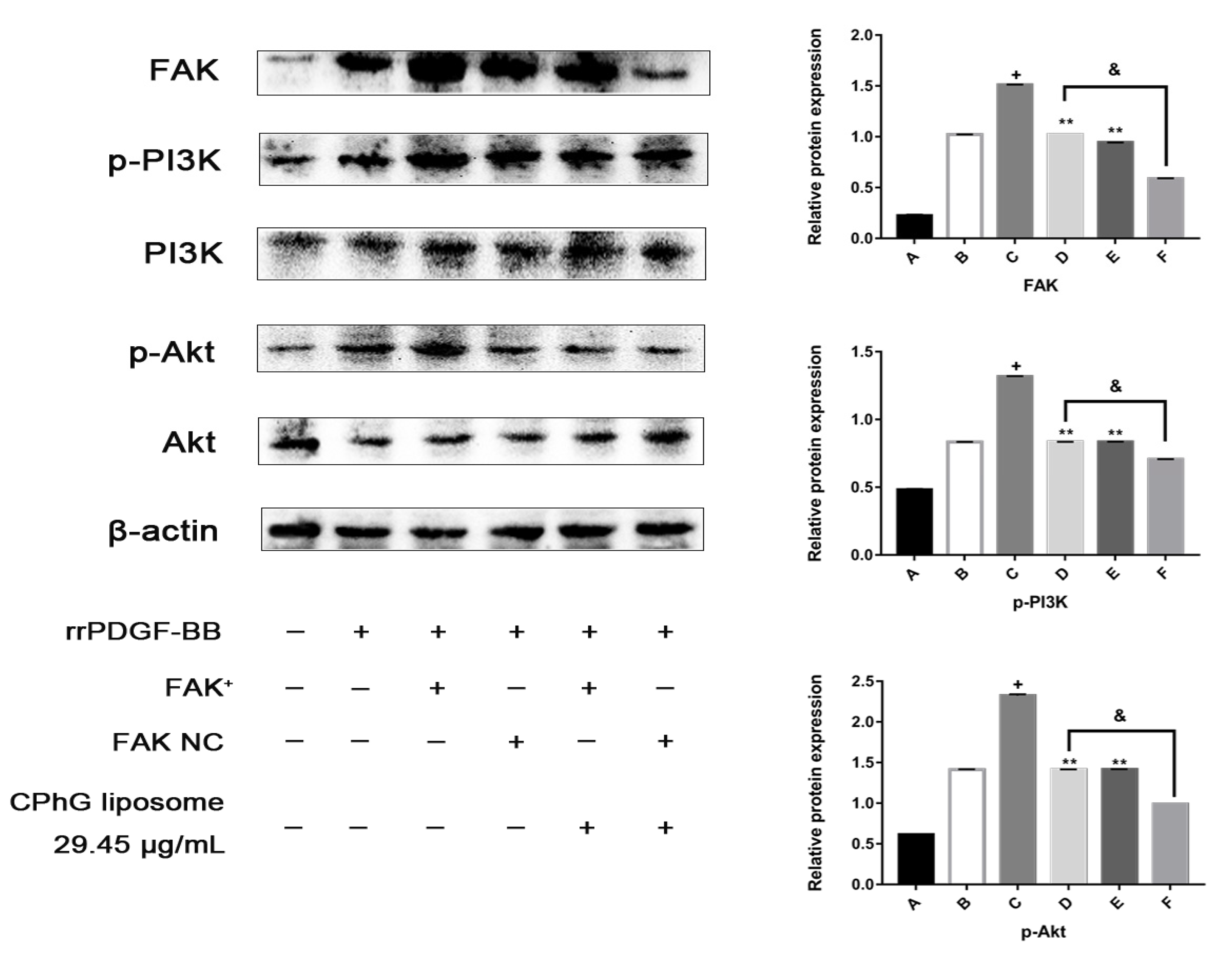 Molecules 24 03282 g008 Molecules 24 03282 g008