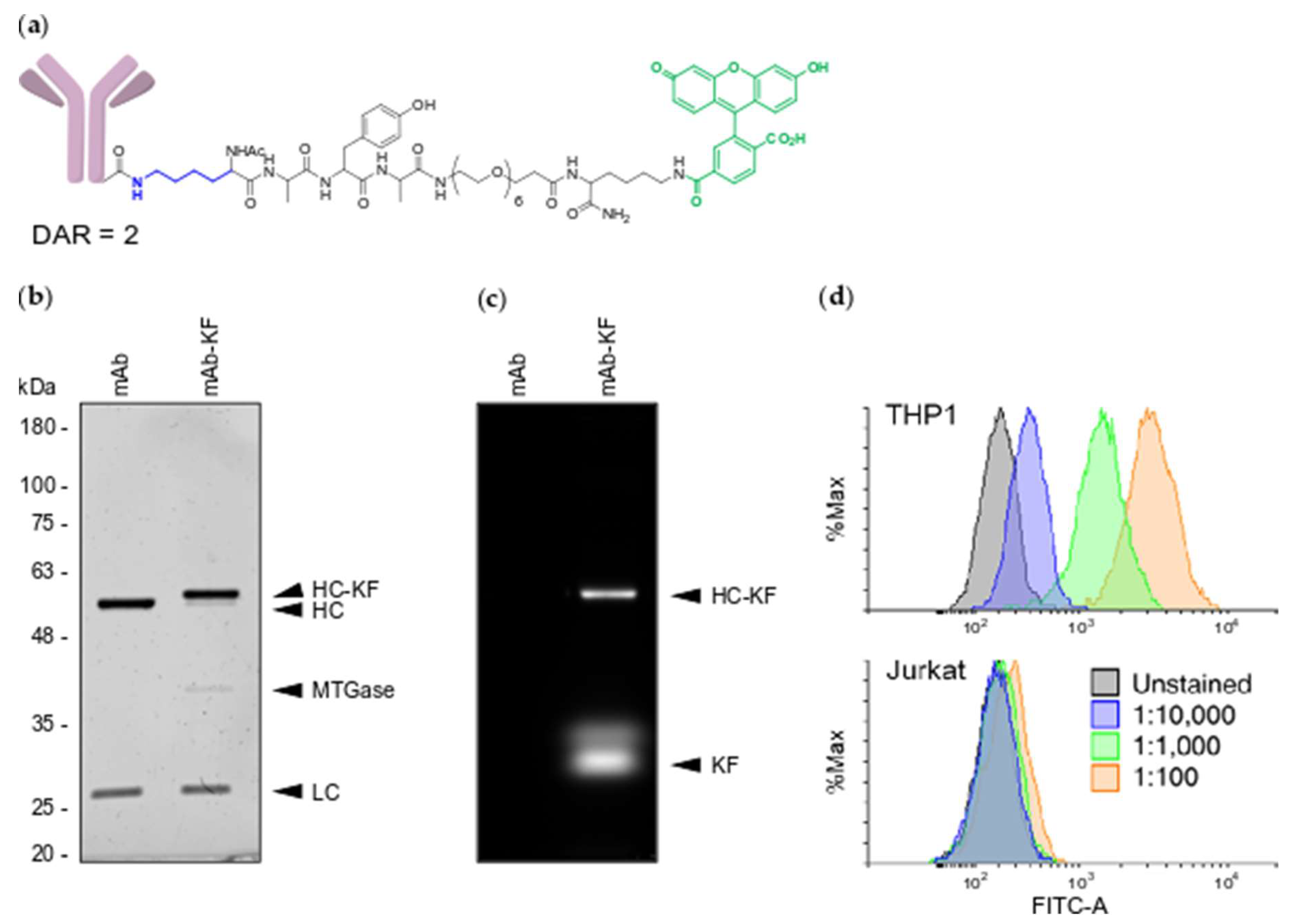 Molecules 24 03287 g001 Molecules 24 03287 g001