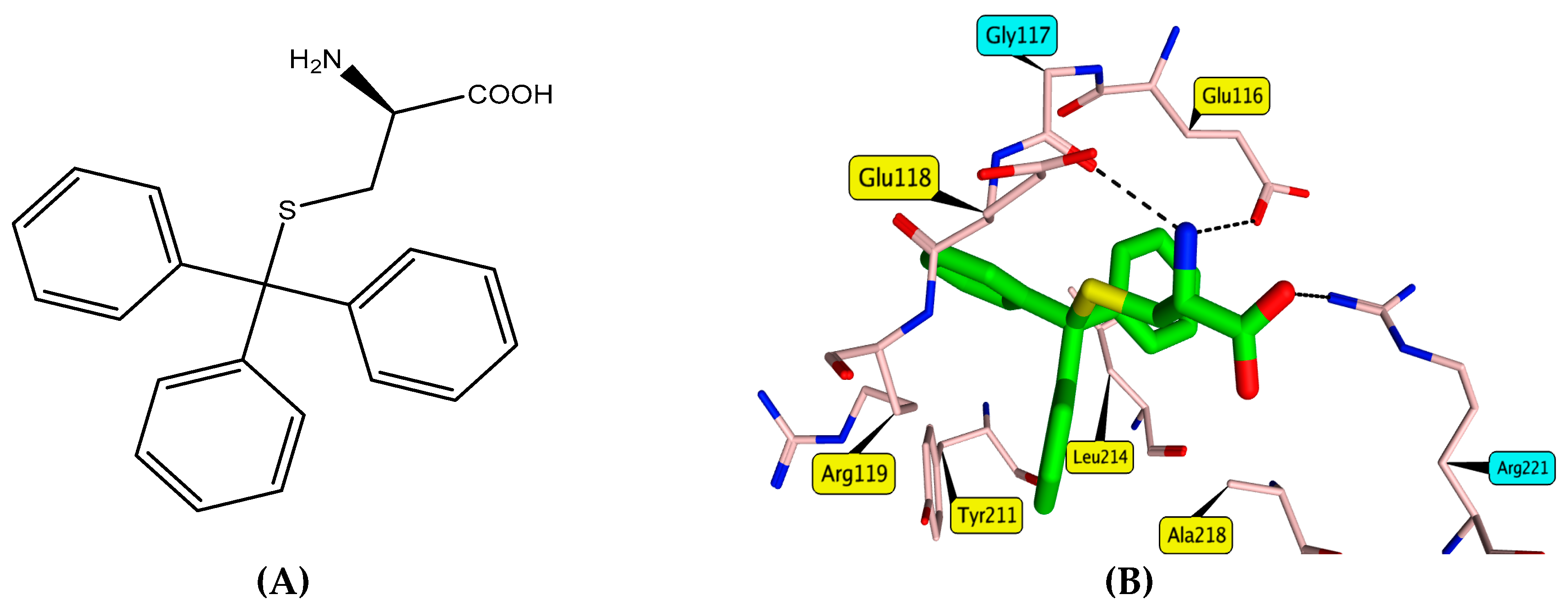 Molecules 24 03295 g001