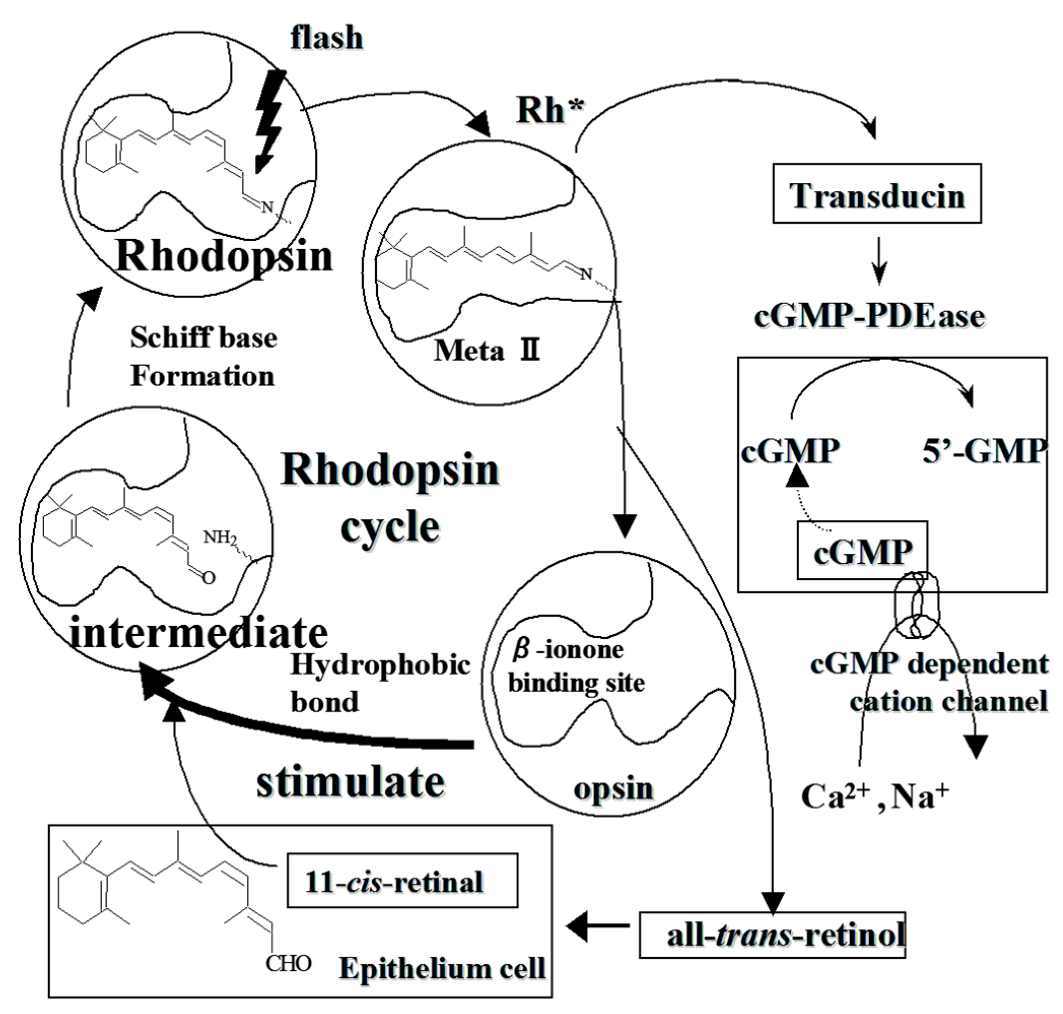 Molecules 24 03311 g002 Molecules 24 03311 g002