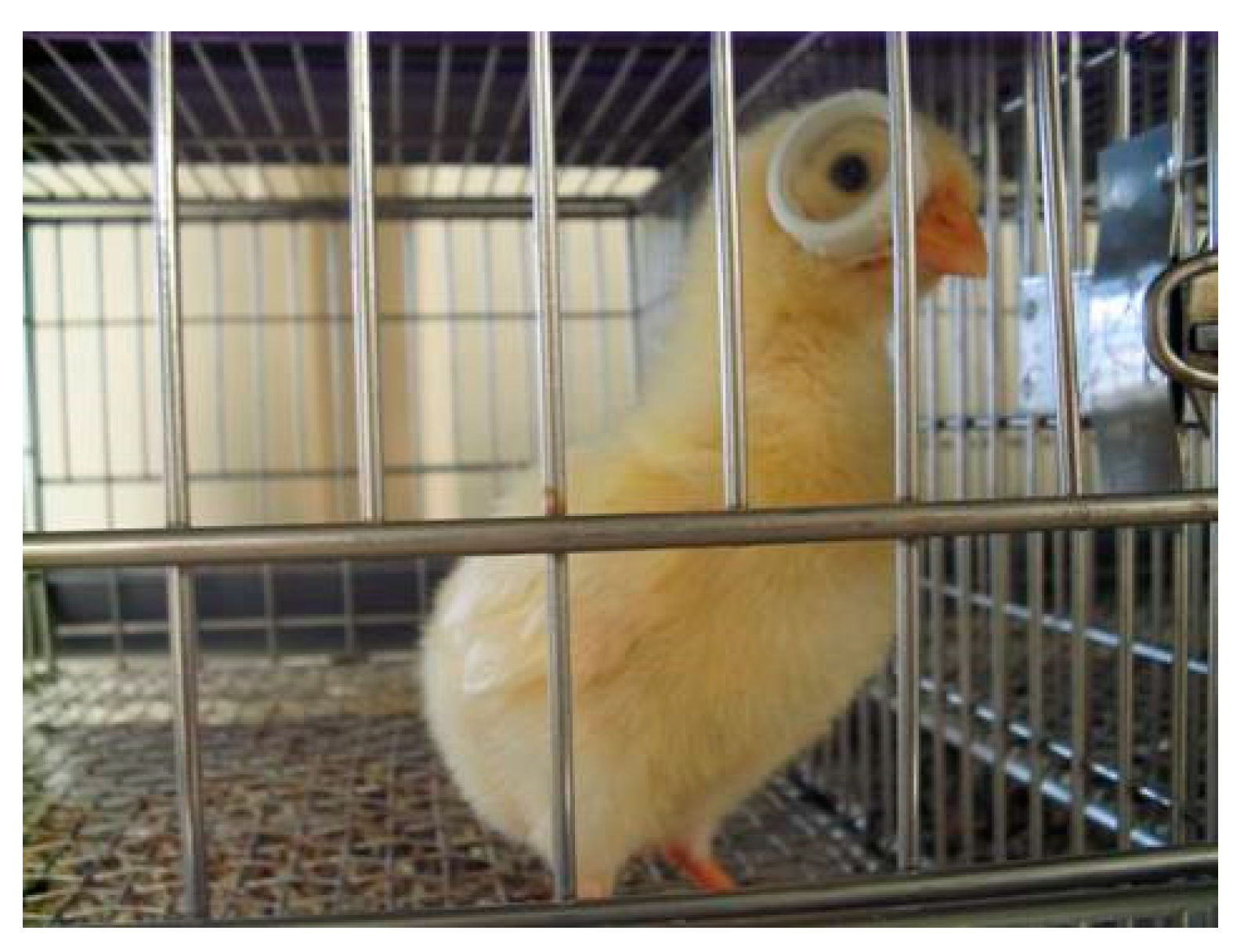 Molecules 24 03311 g008 Molecules 24 03311 g008