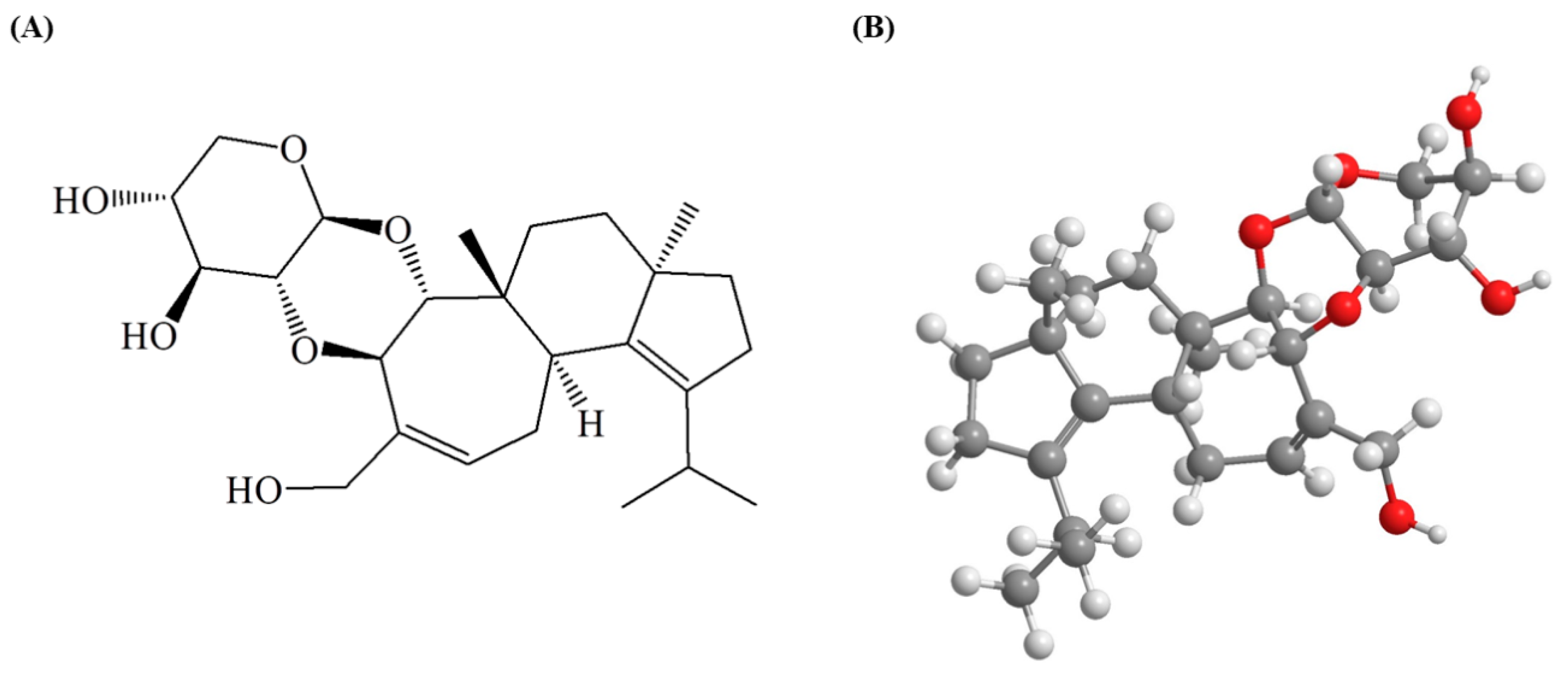 Molecules 24 03317 g001