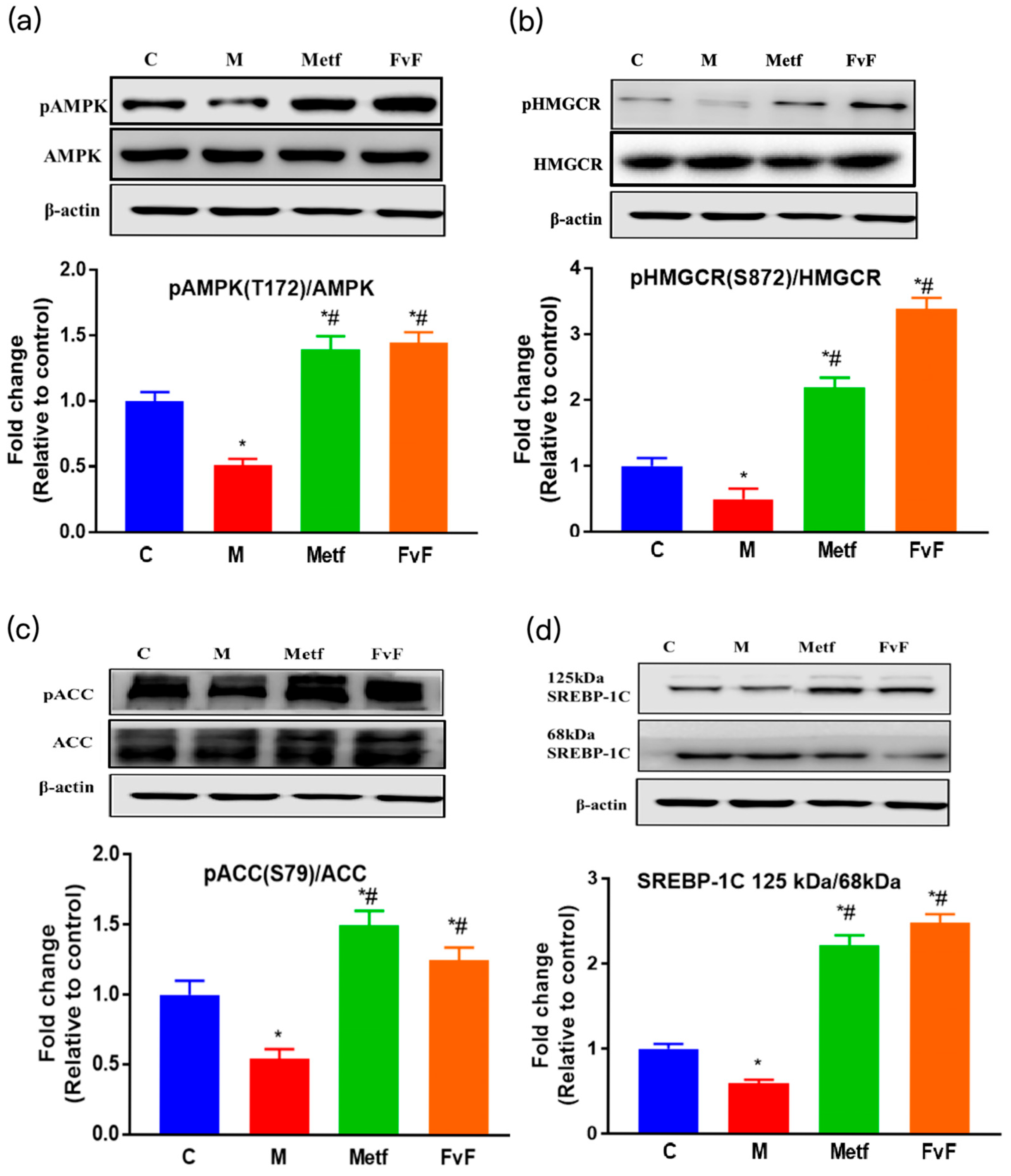 Molecules 24 03319 g002