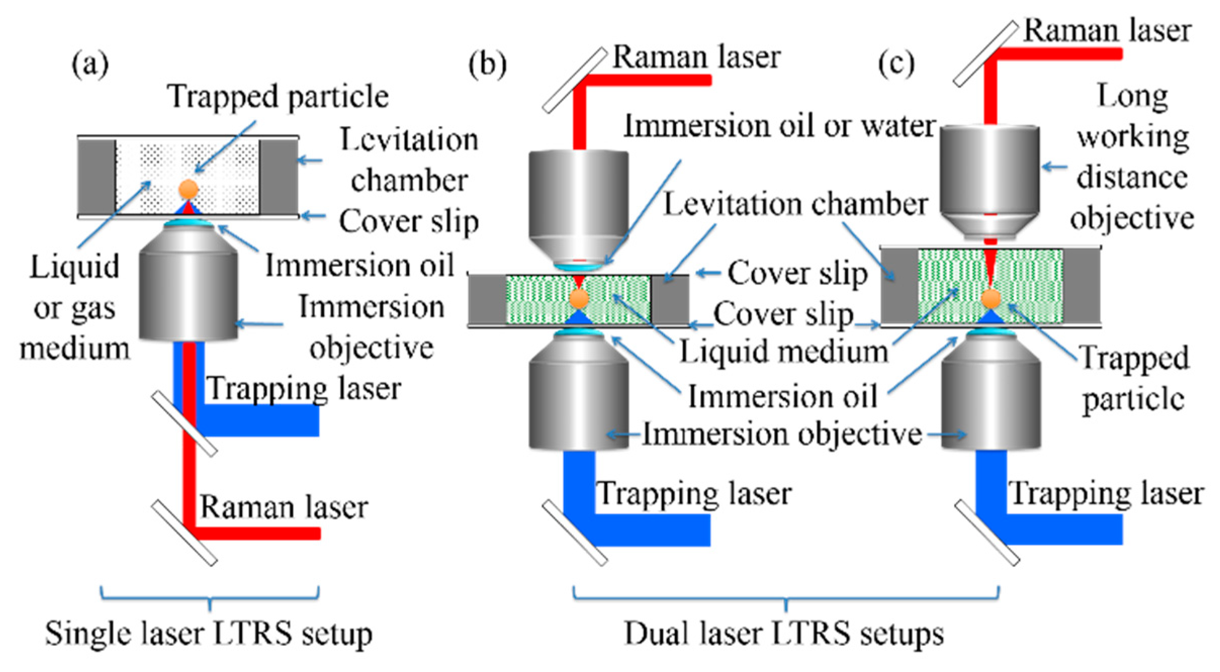 Molecules 24 03325 g001