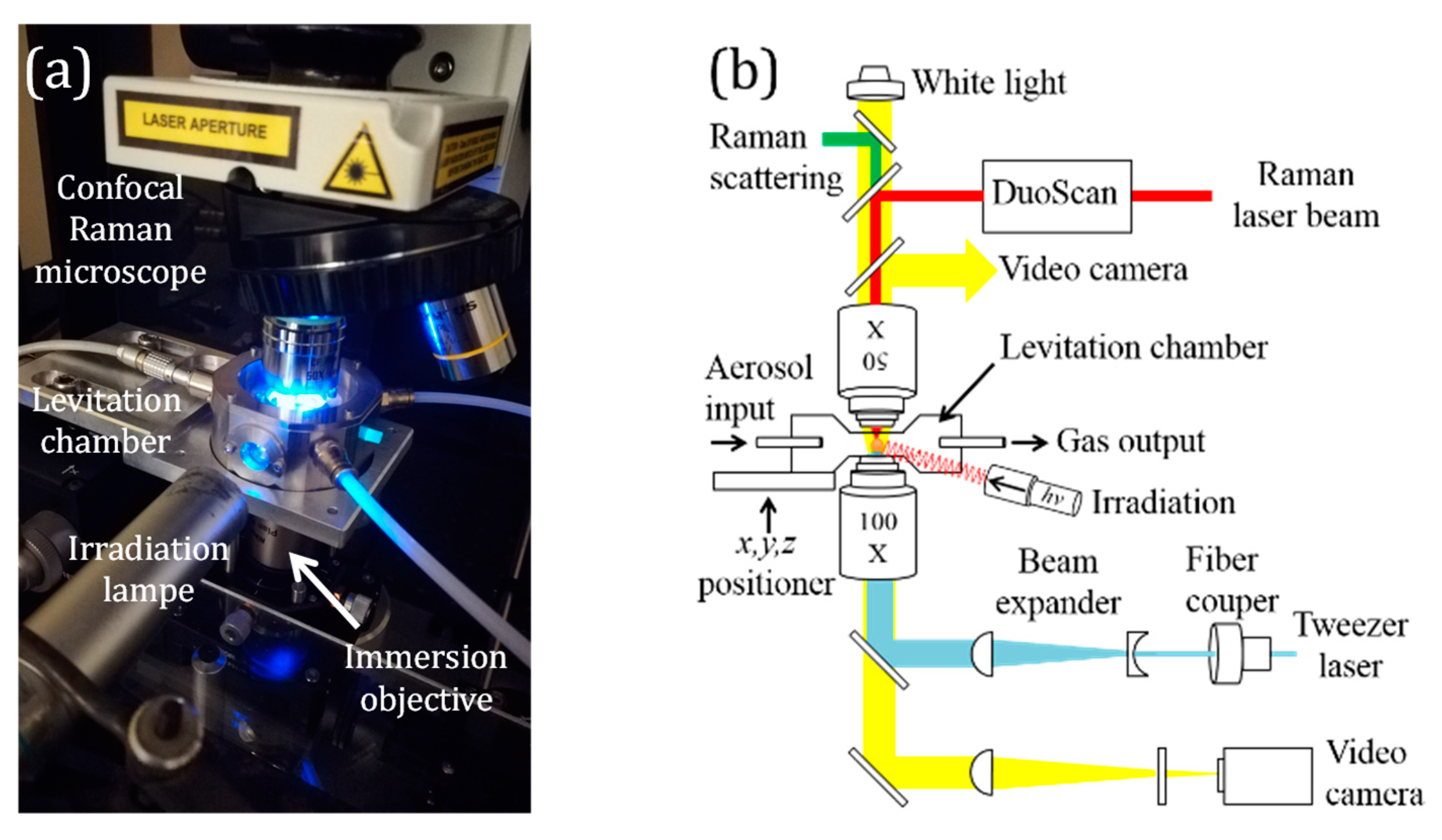 Molecules 24 03325 g002