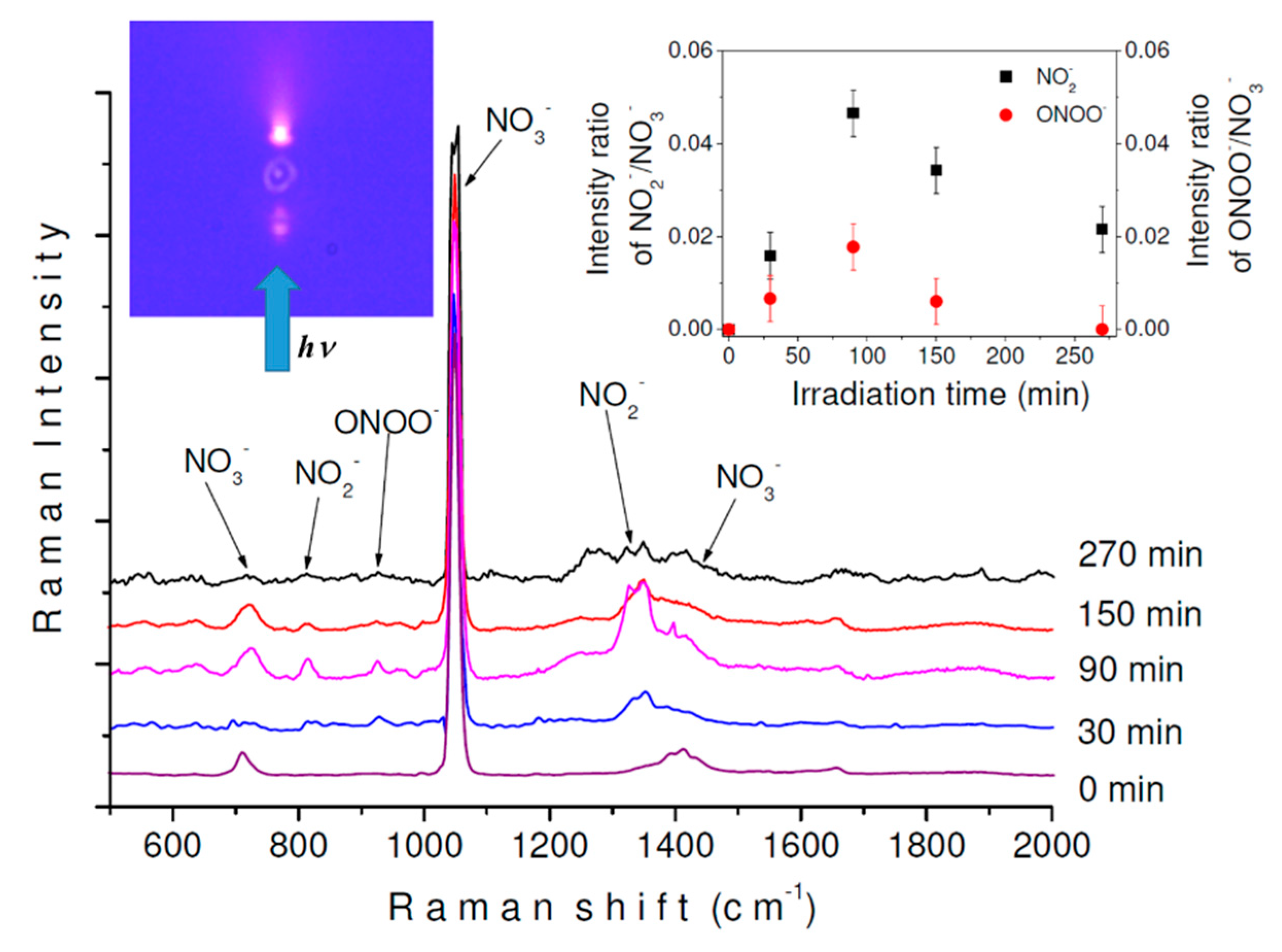 Molecules 24 03325 g005