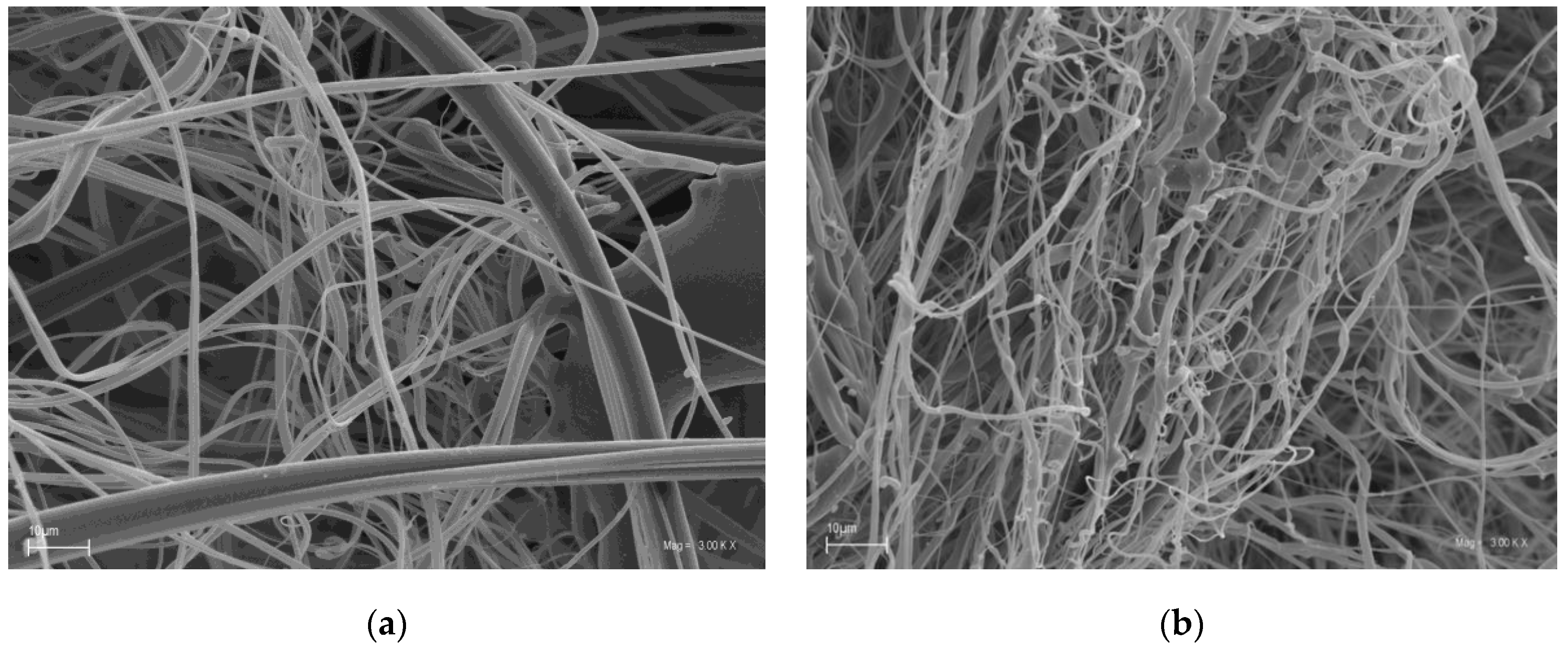 Molecules 24 03339 g001