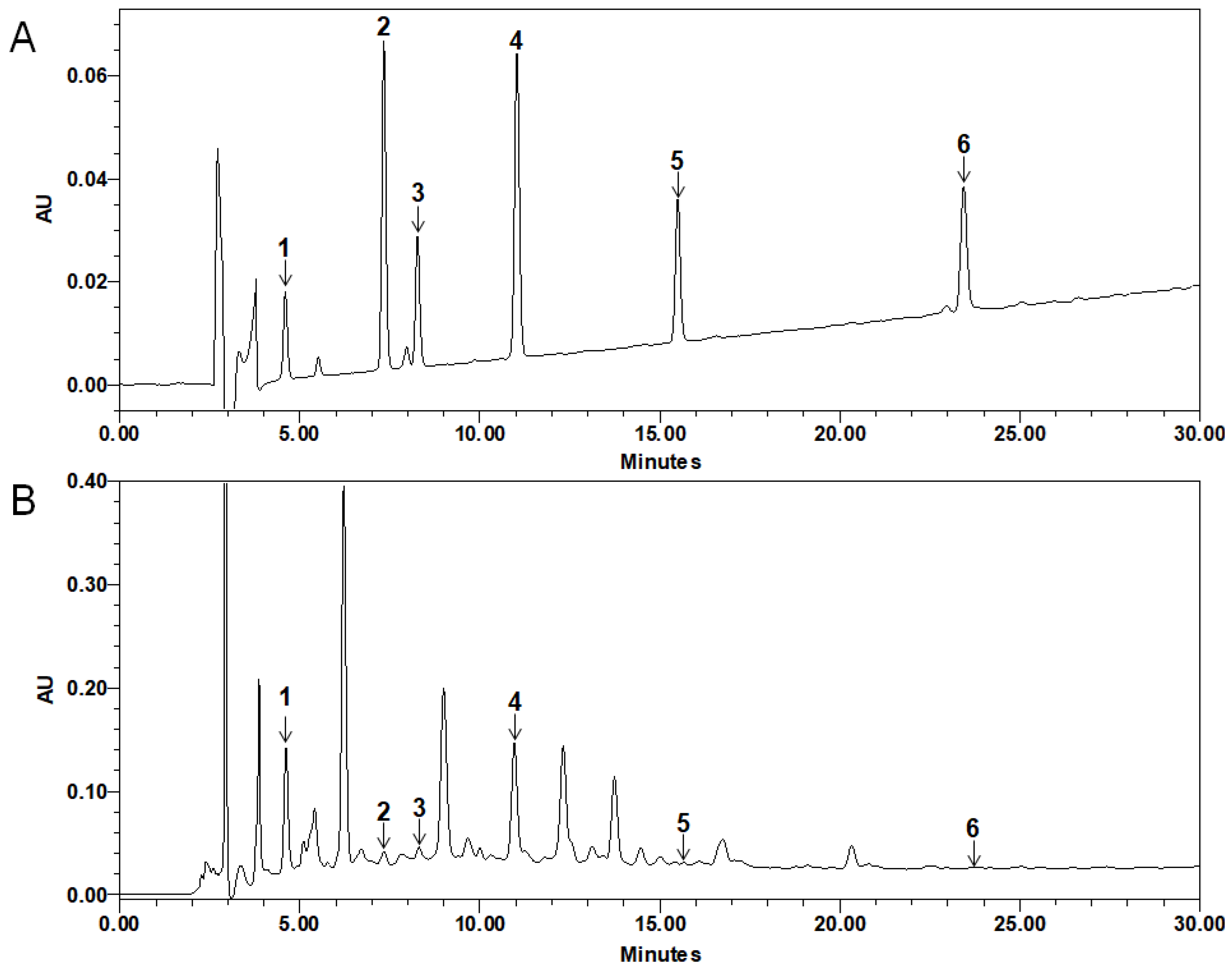 Molecules 24 03340 g006
