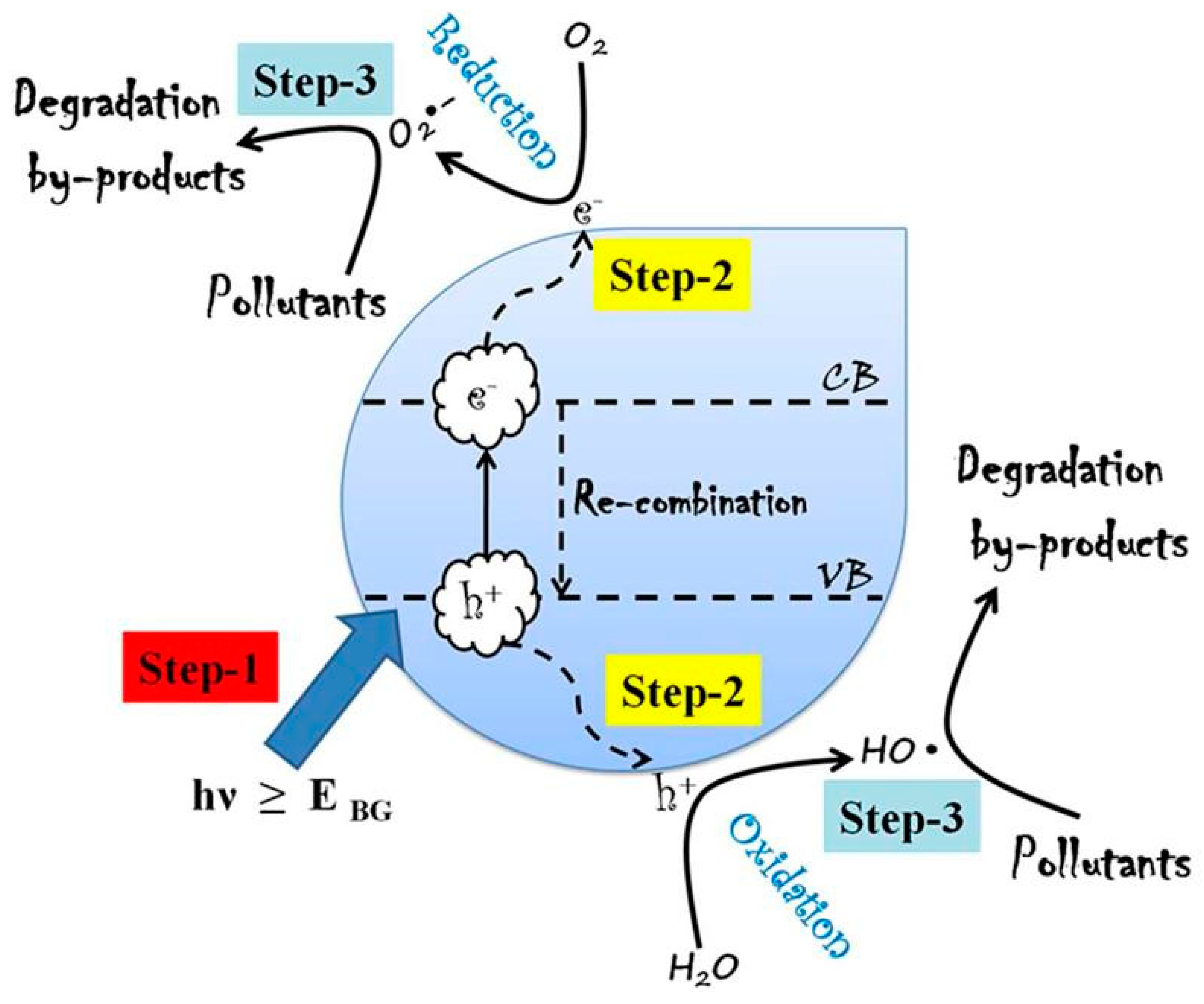 Molecules 24 03341 g001 Molecules 24 03341 g001