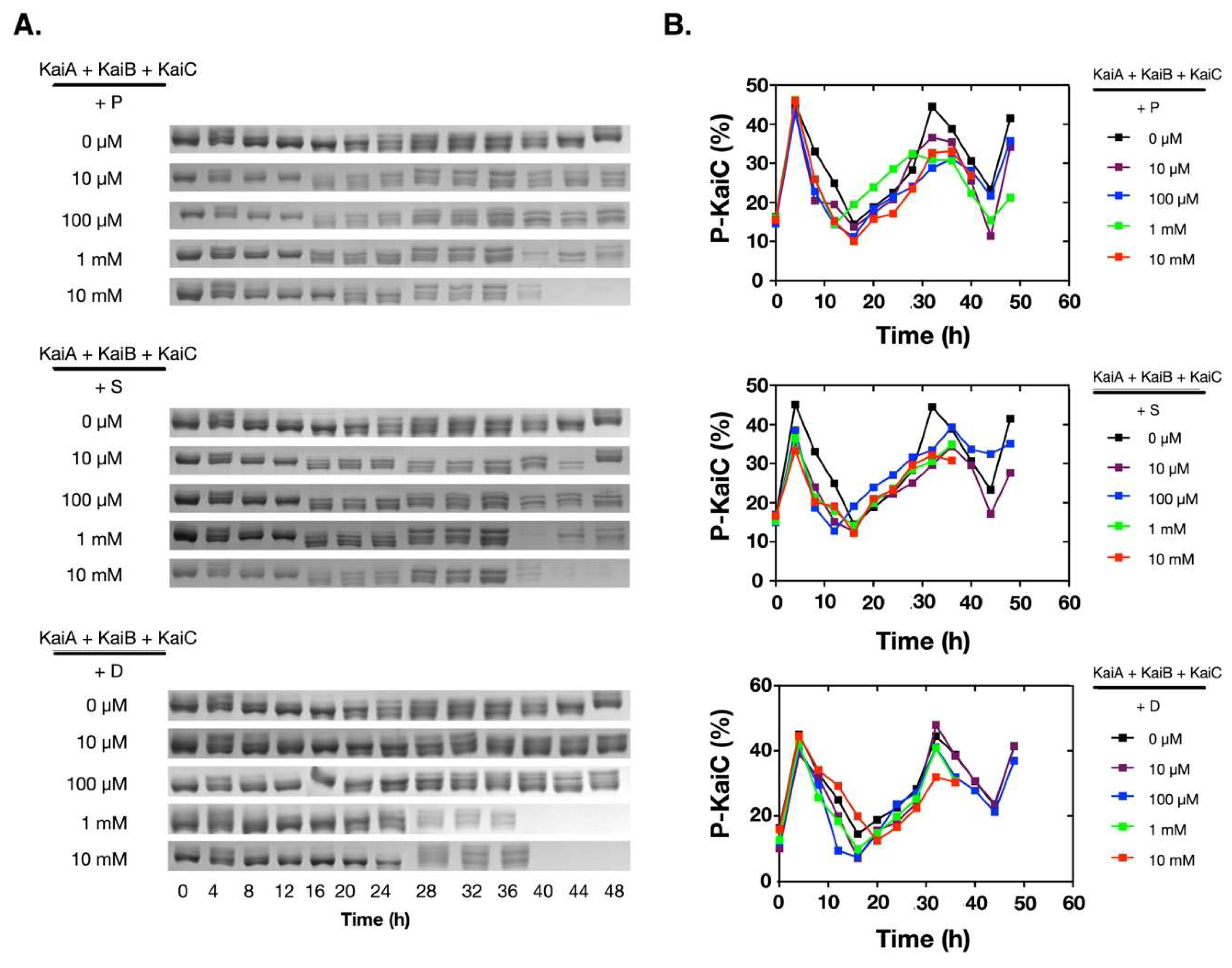 Molecules 24 03351 g001 Molecules 24 03351 g001