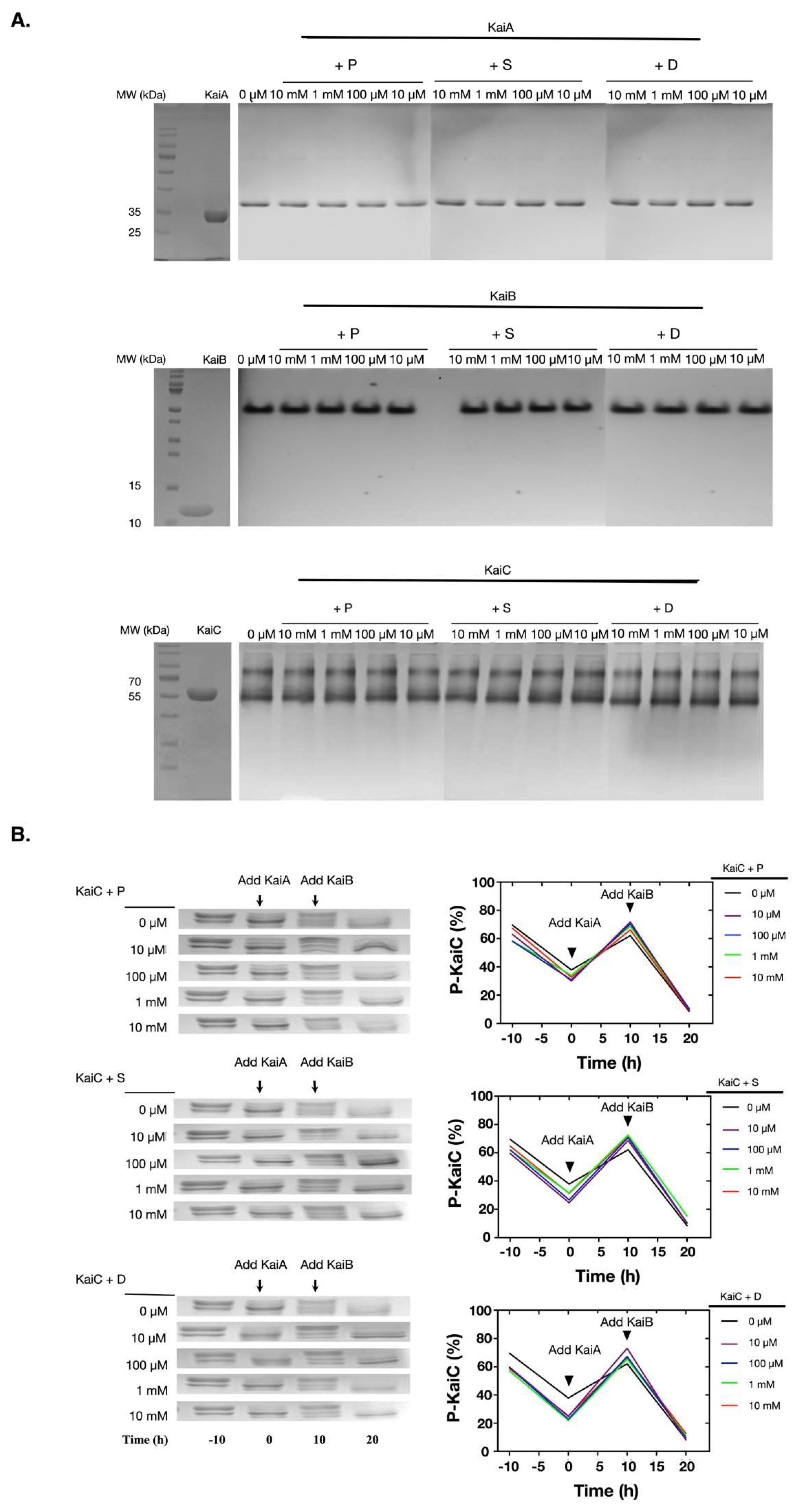 Molecules 24 03351 g002 Molecules 24 03351 g002