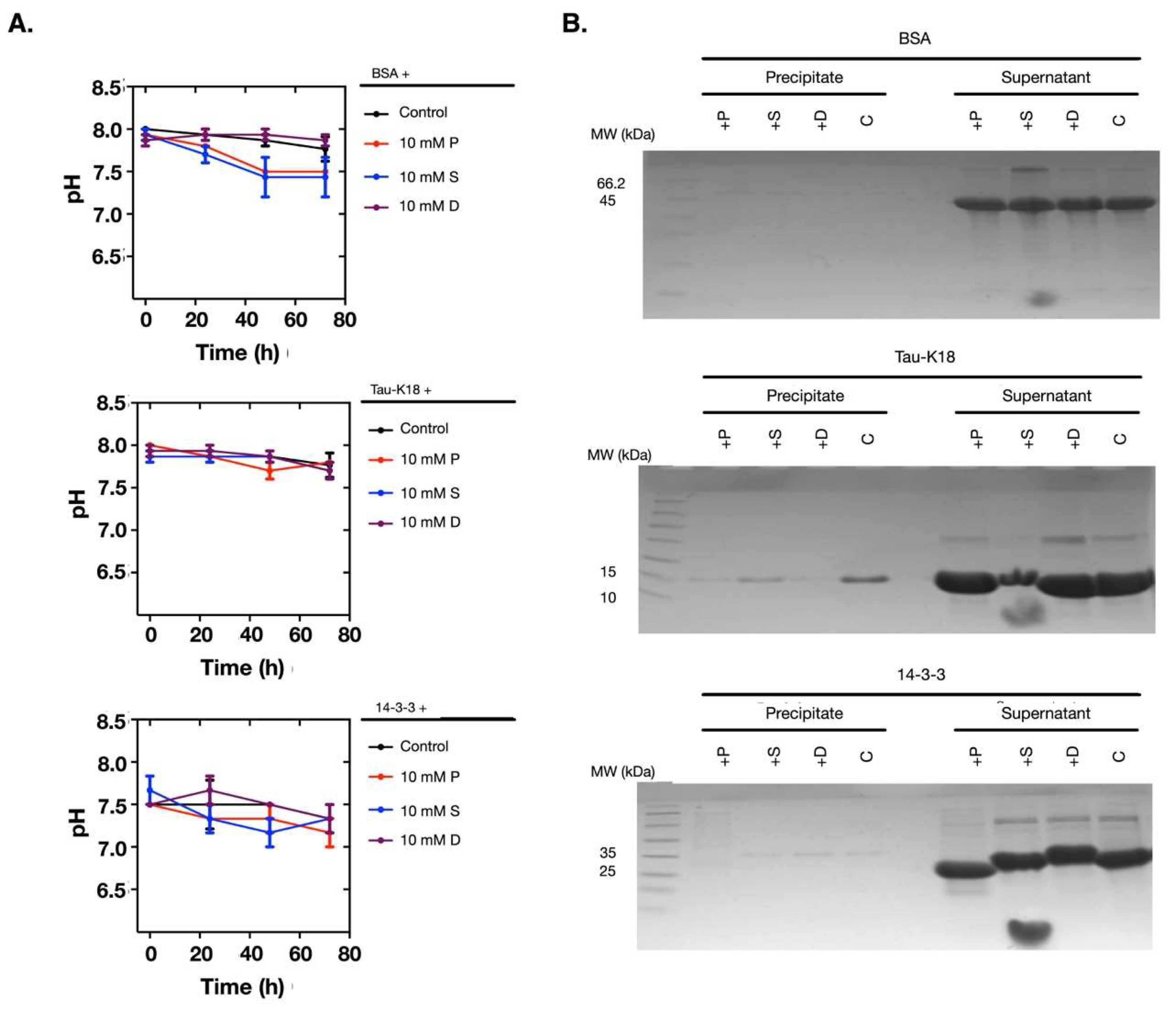 Molecules 24 03351 g004 Molecules 24 03351 g004