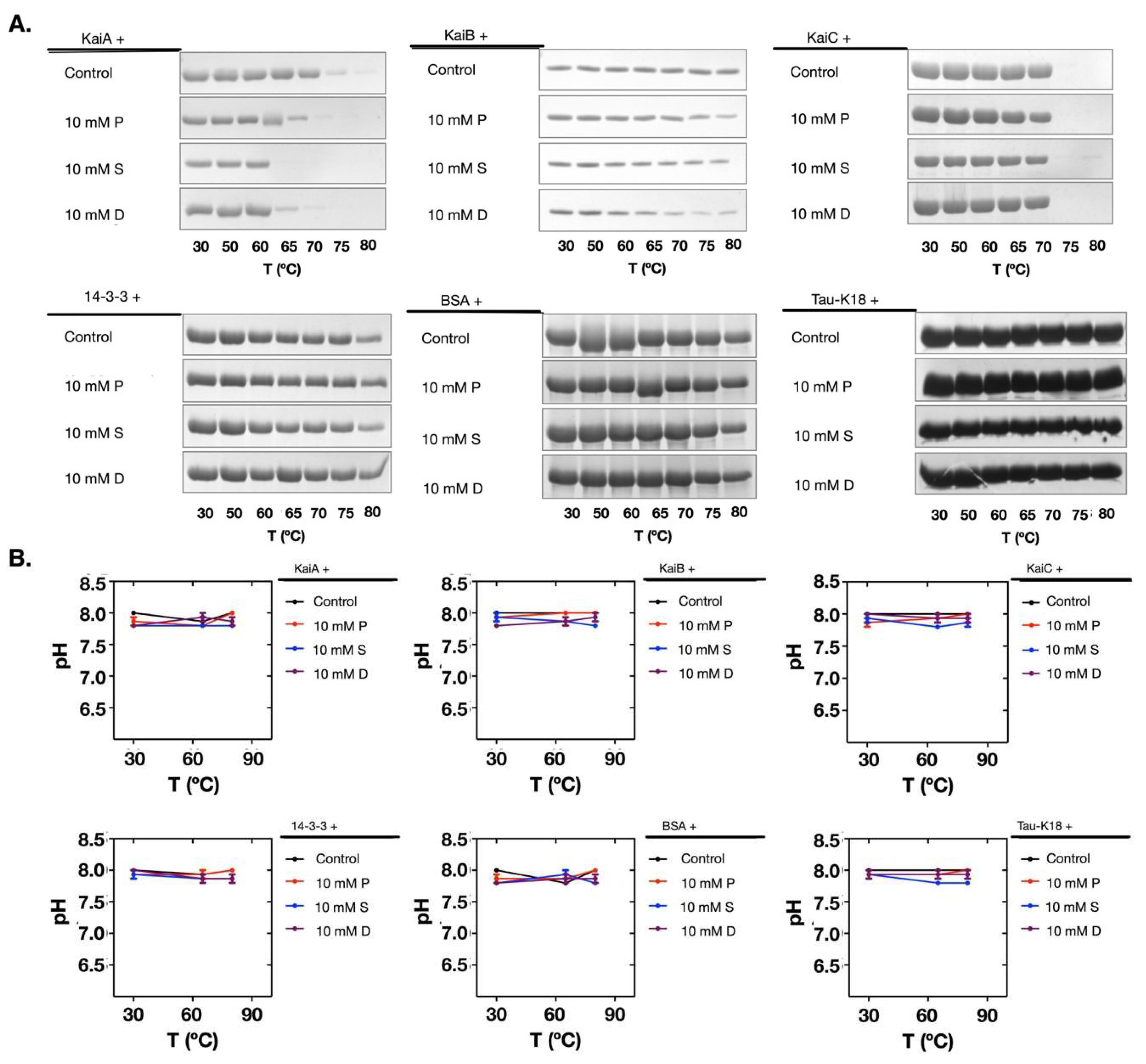 Molecules 24 03351 g005 Molecules 24 03351 g005