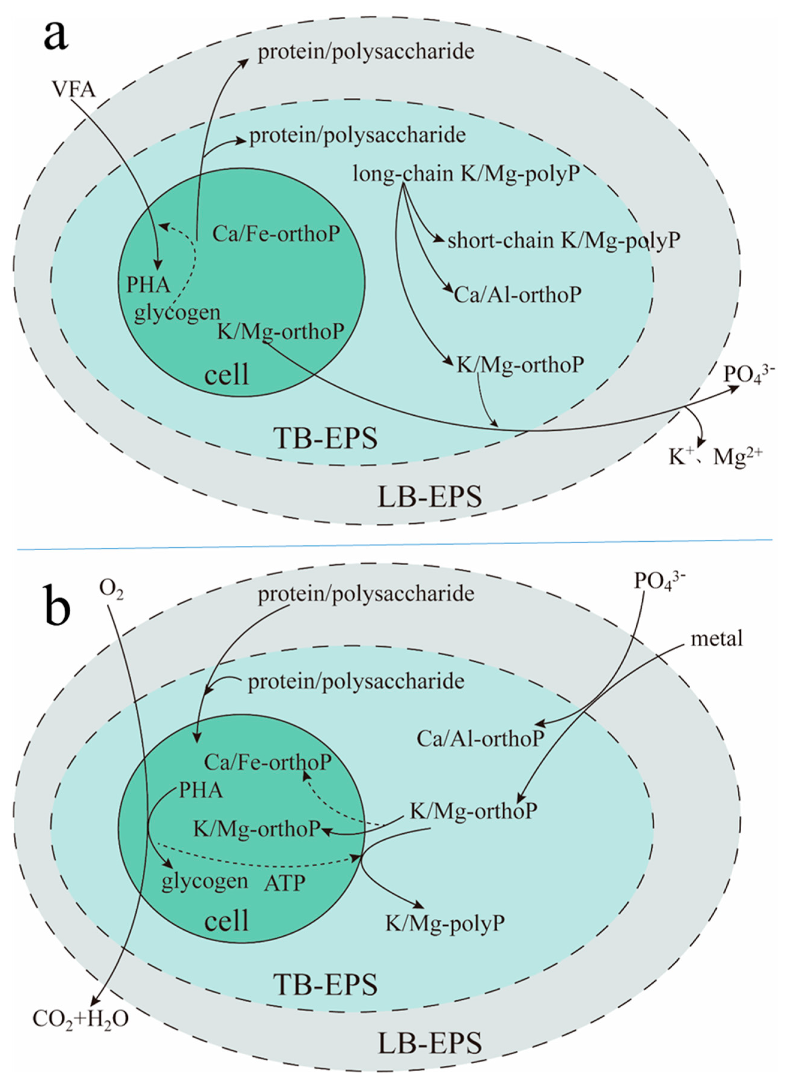 Molecules 24 03358 g008