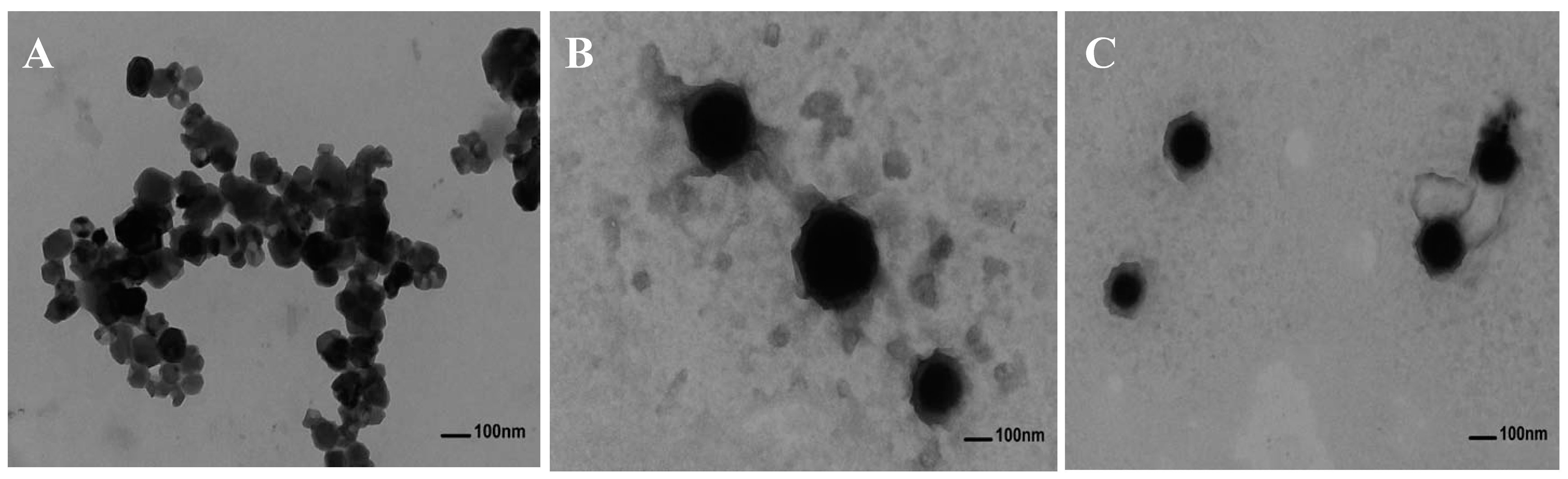 Molecules 24 03366 g005