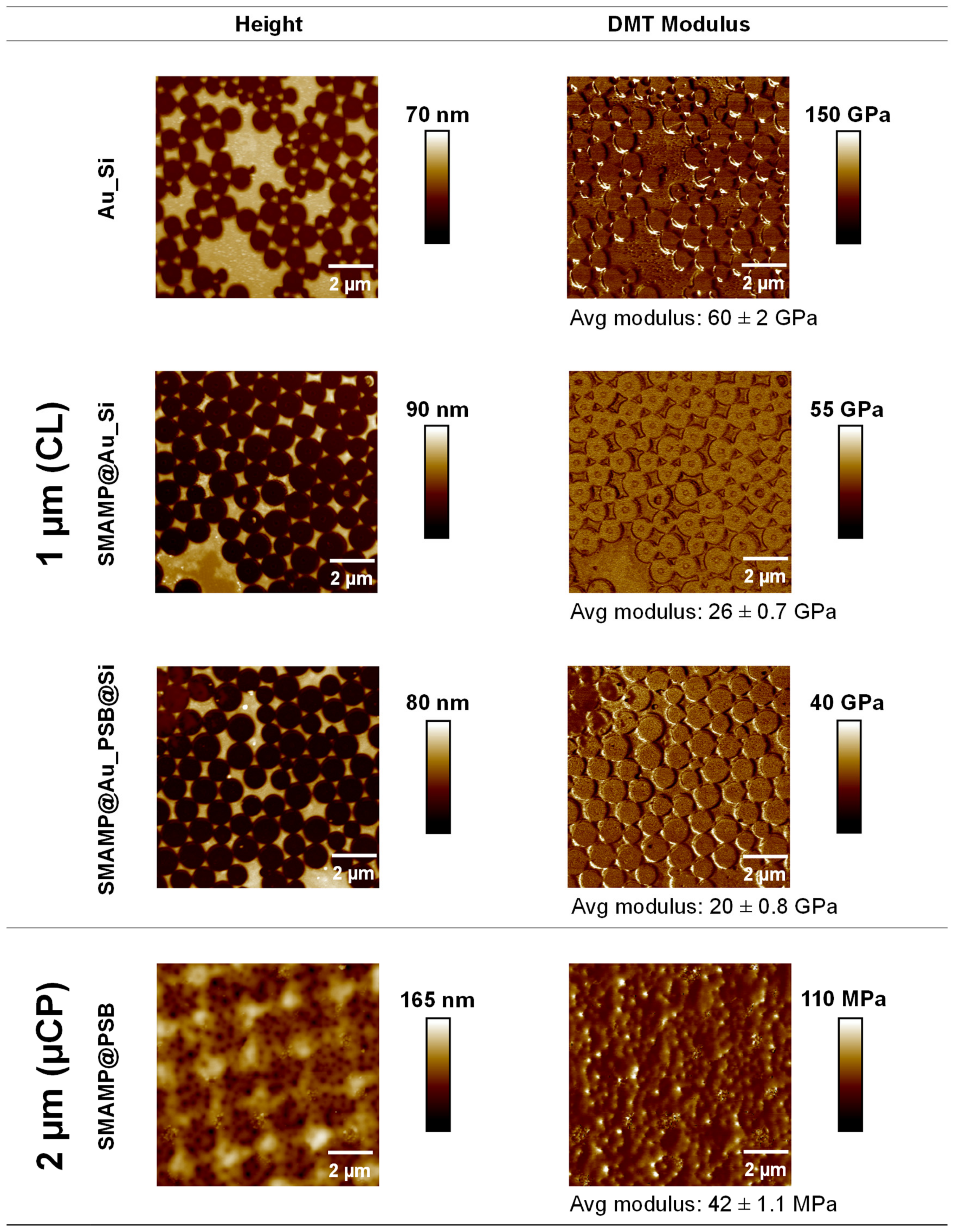 Molecules 24 03371 g003