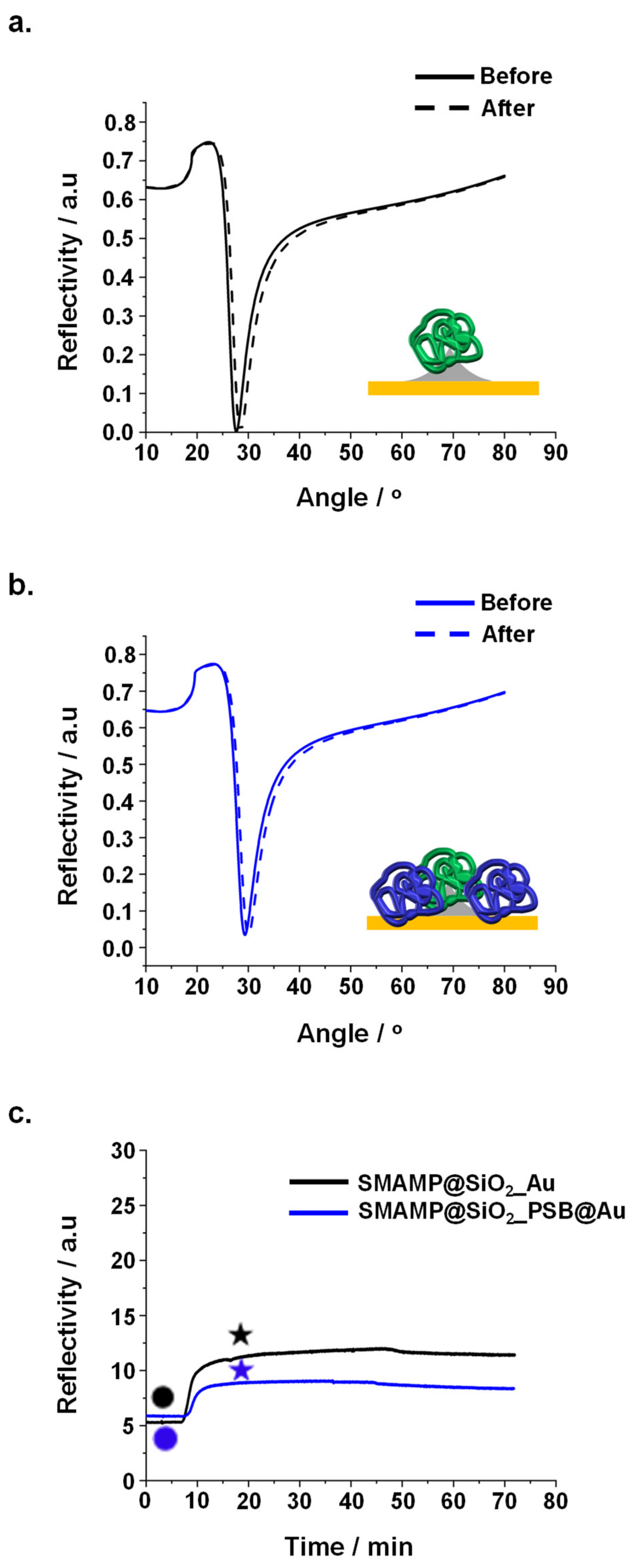 Molecules 24 03371 g004