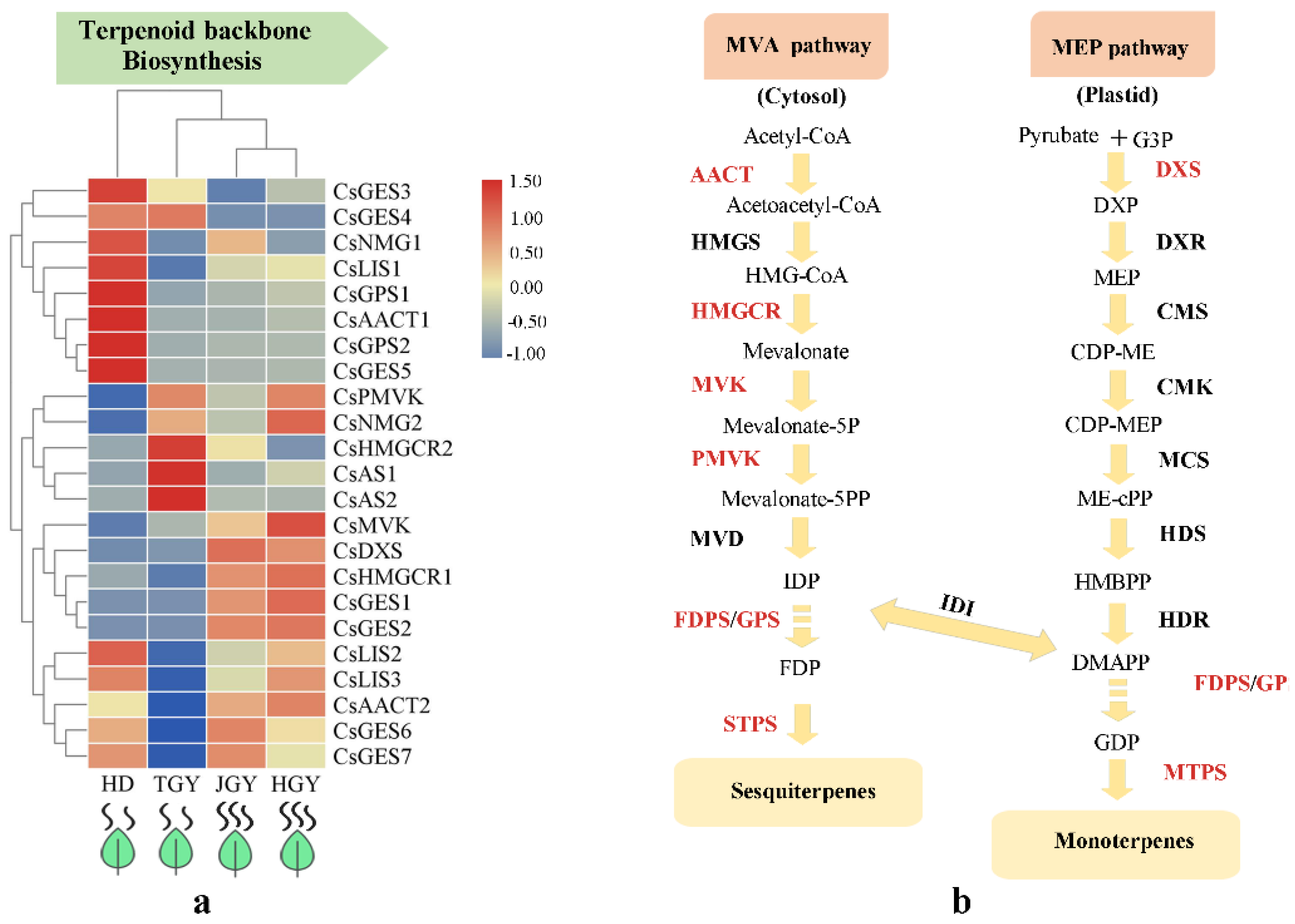 Molecules 24 03380 g004