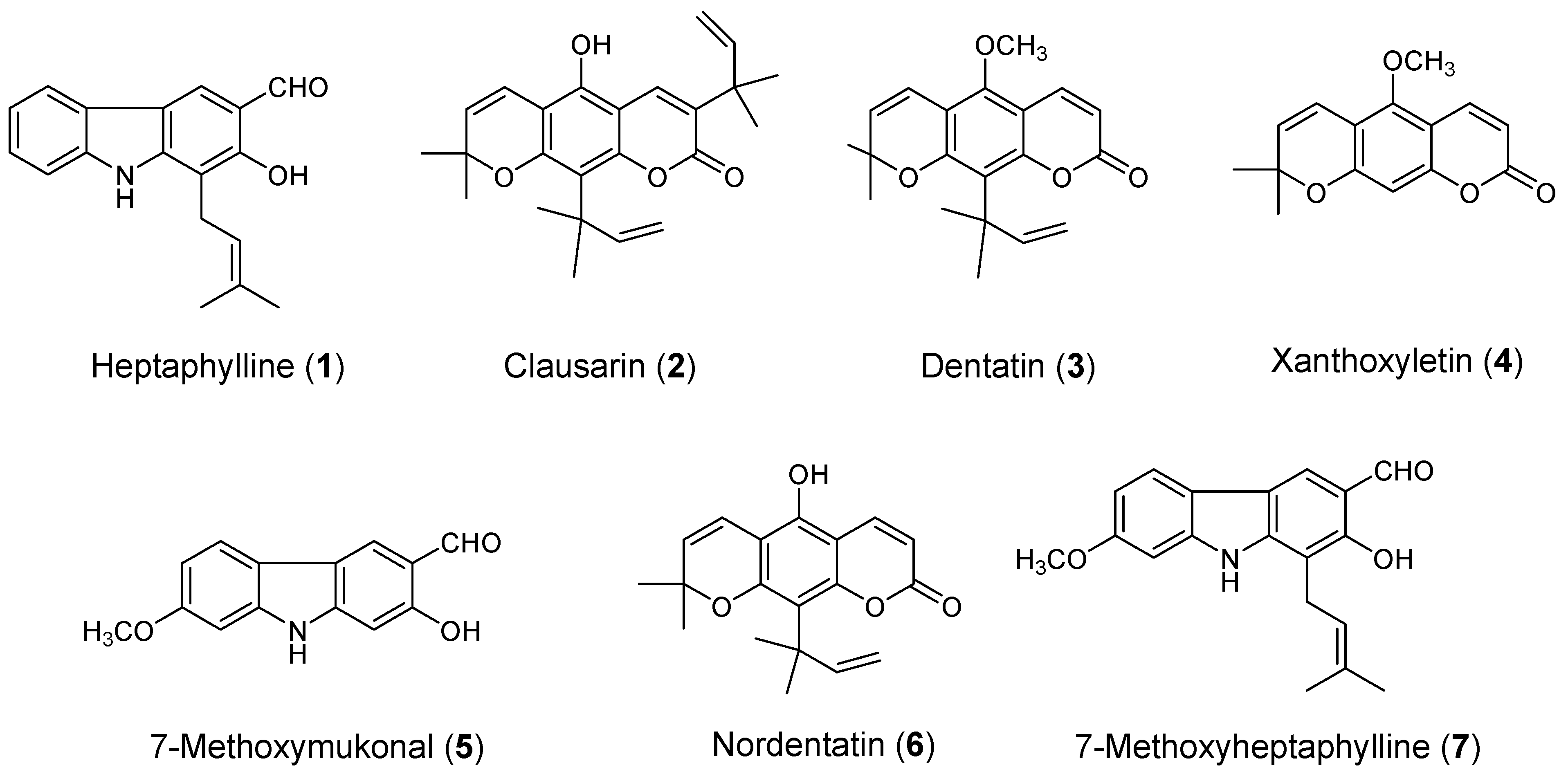 Molecules 24 03385 g001