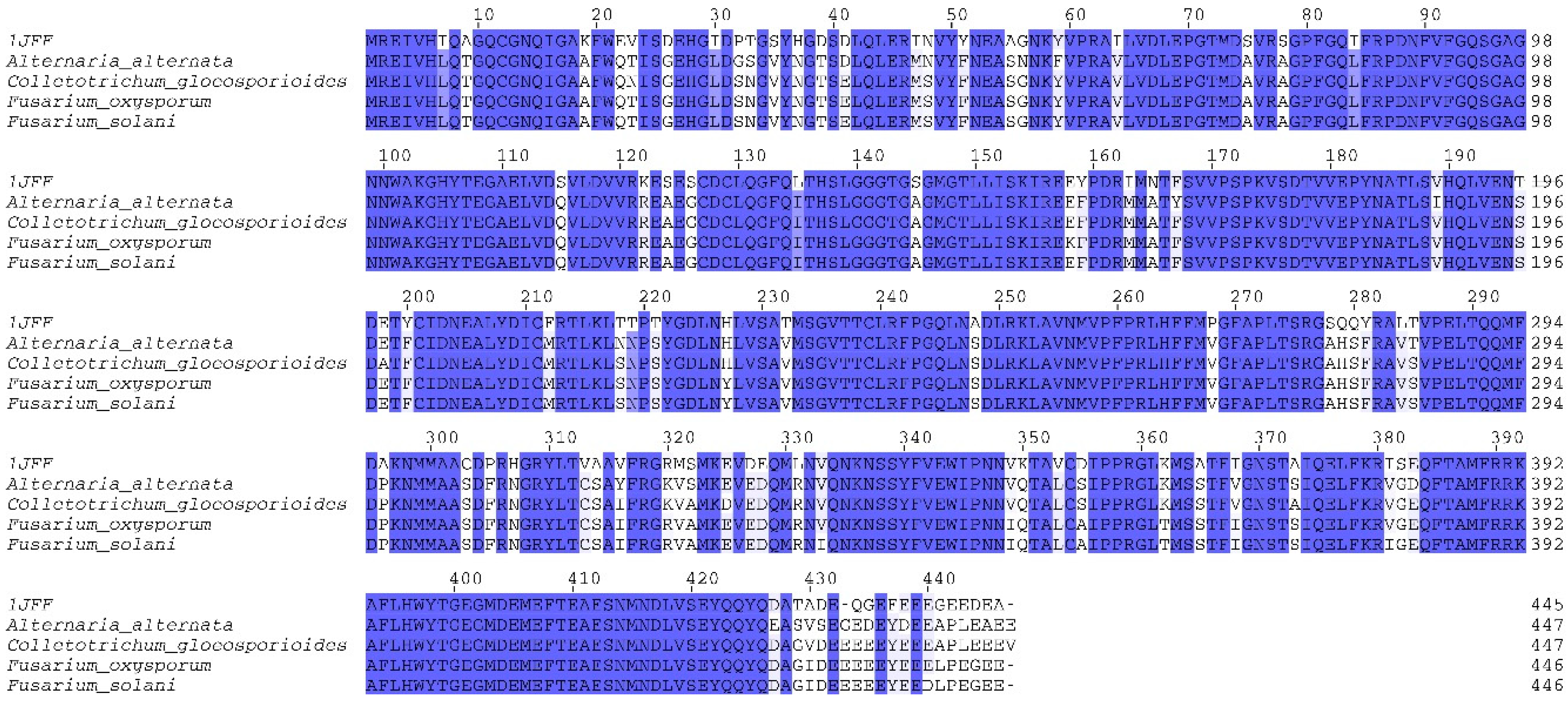 Molecules 24 03387 g001