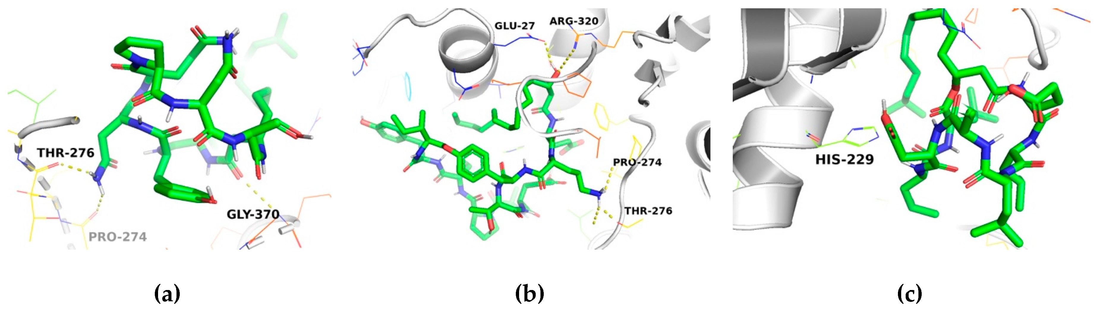 Molecules 24 03387 g004