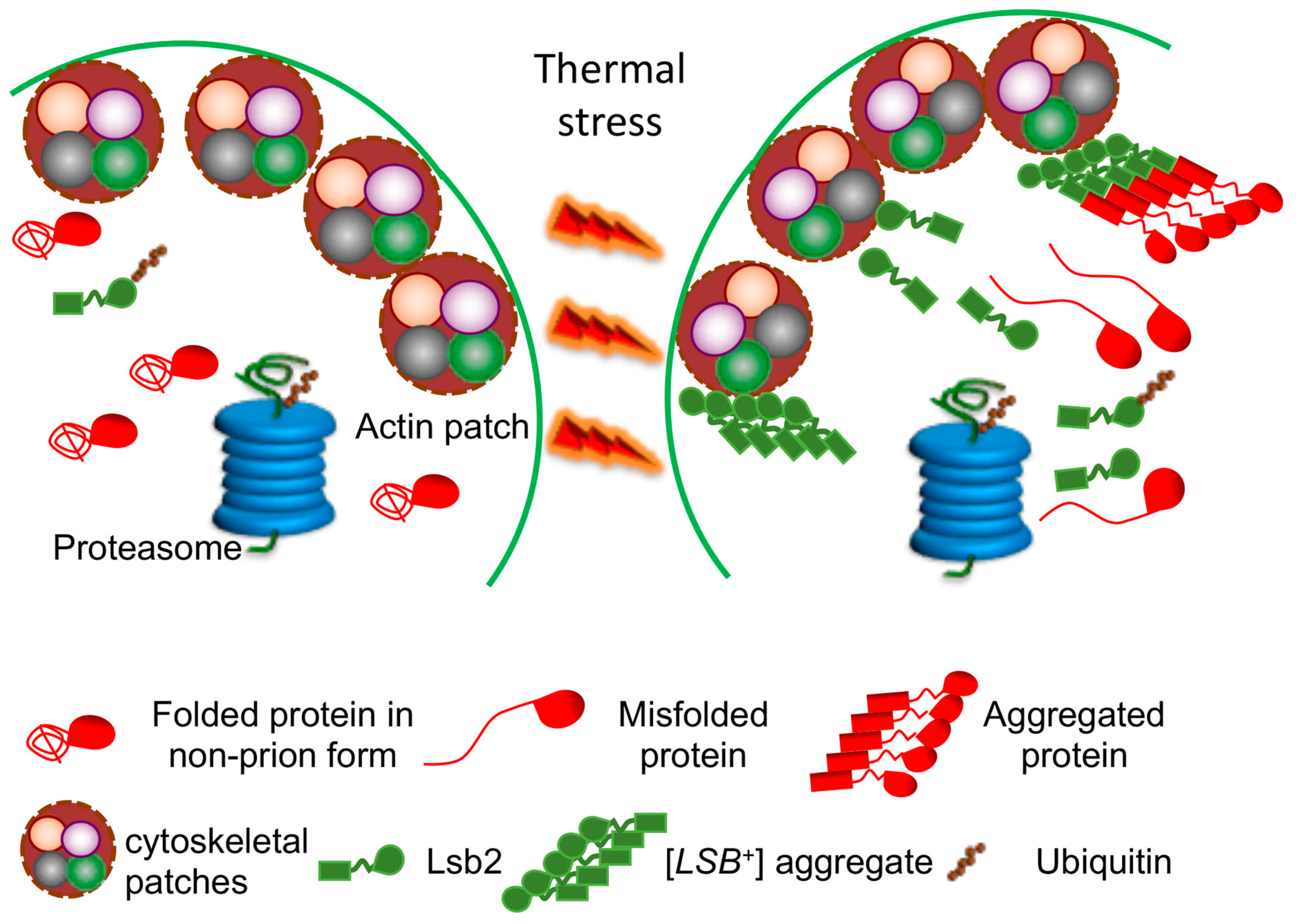 Molecules 24 03388 g002