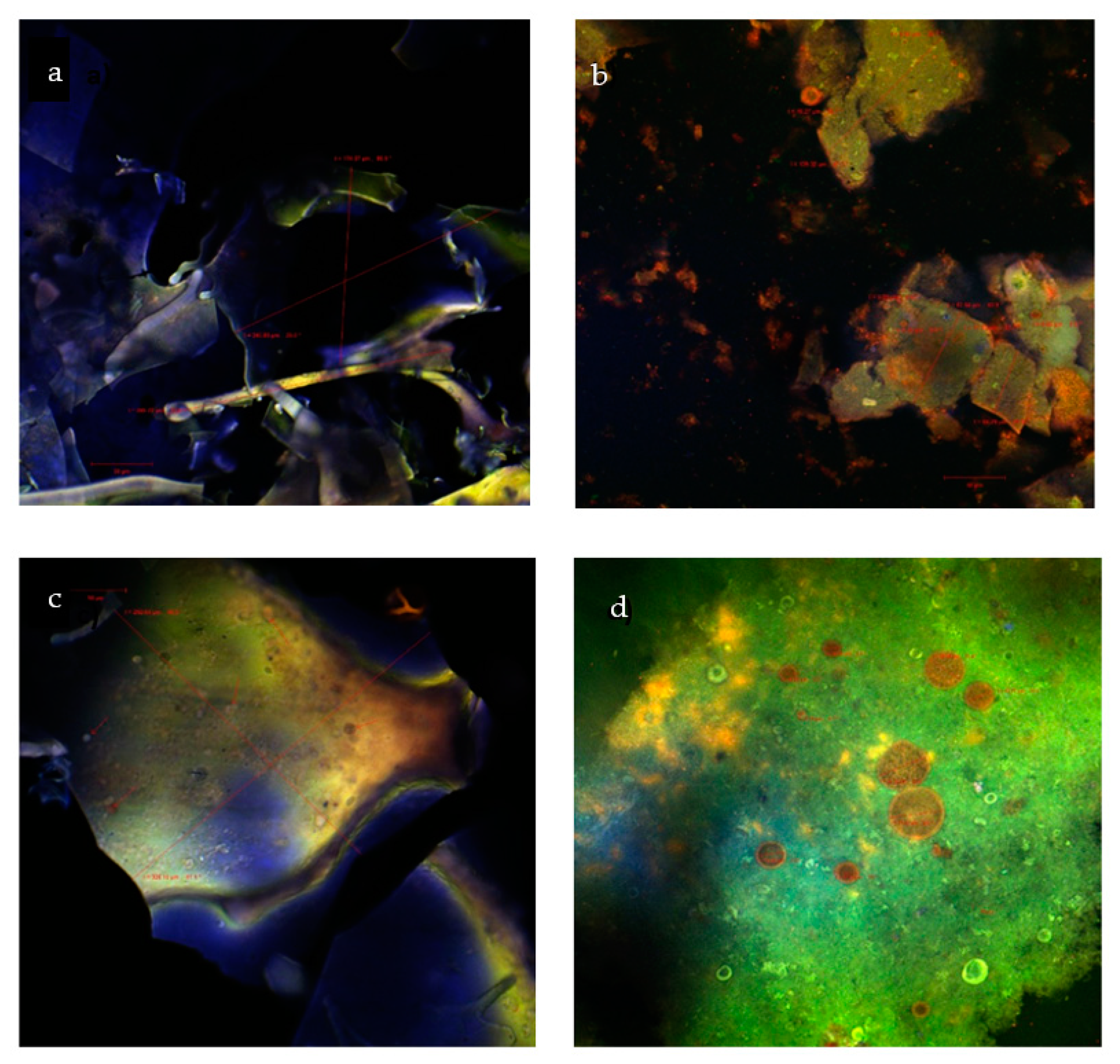 Molecules 24 03389 g002