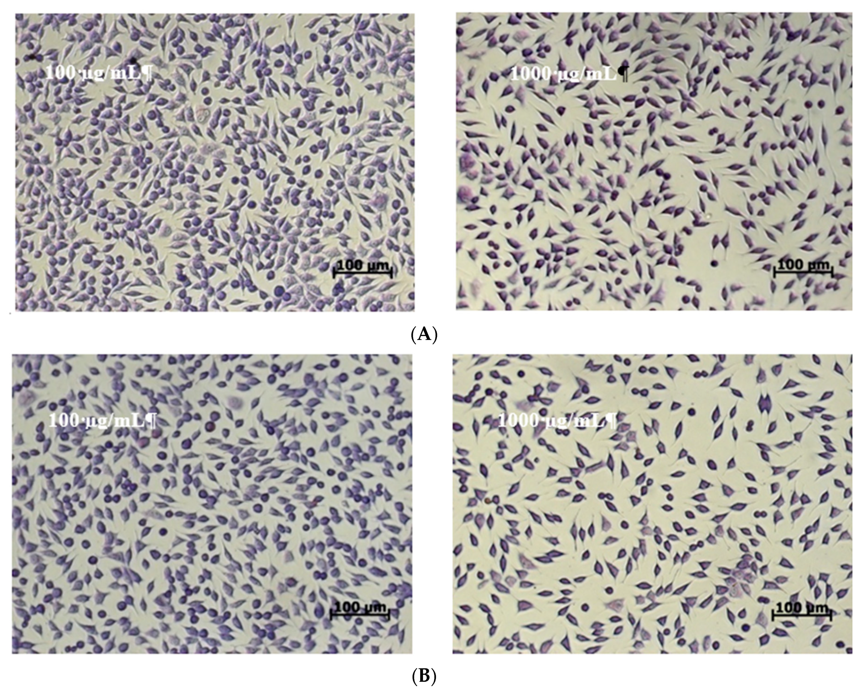 Molecules 24 03389 g004