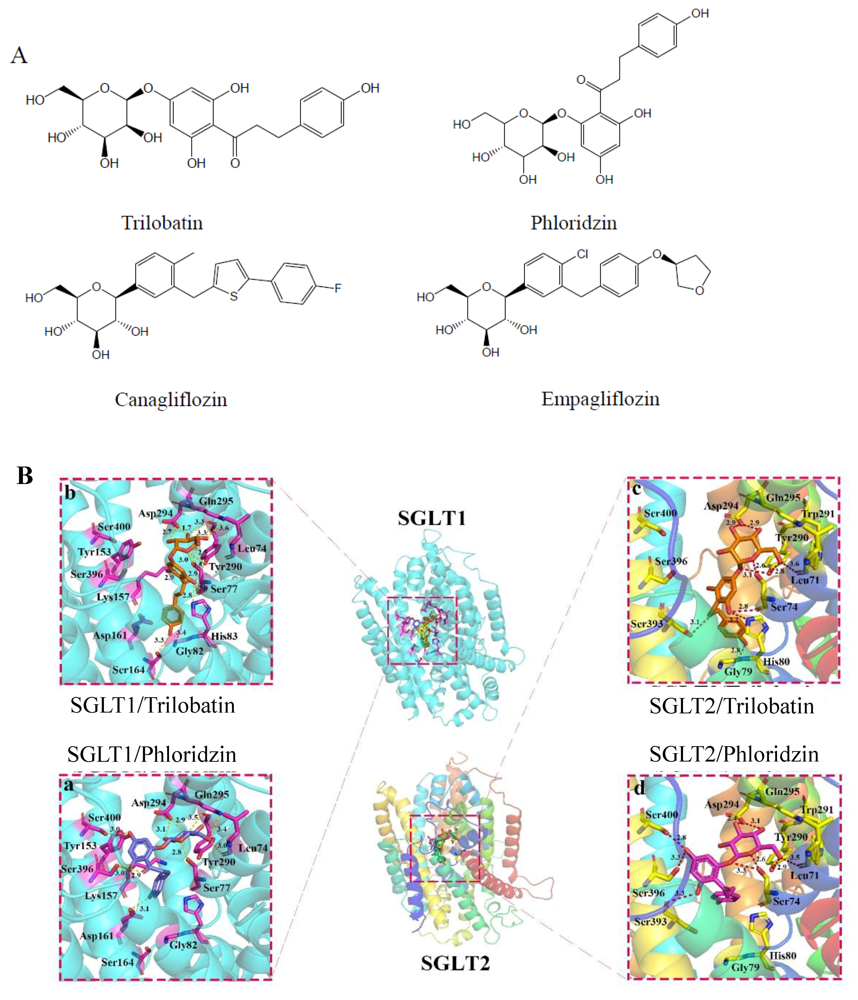 Molecules 24 03390 g001