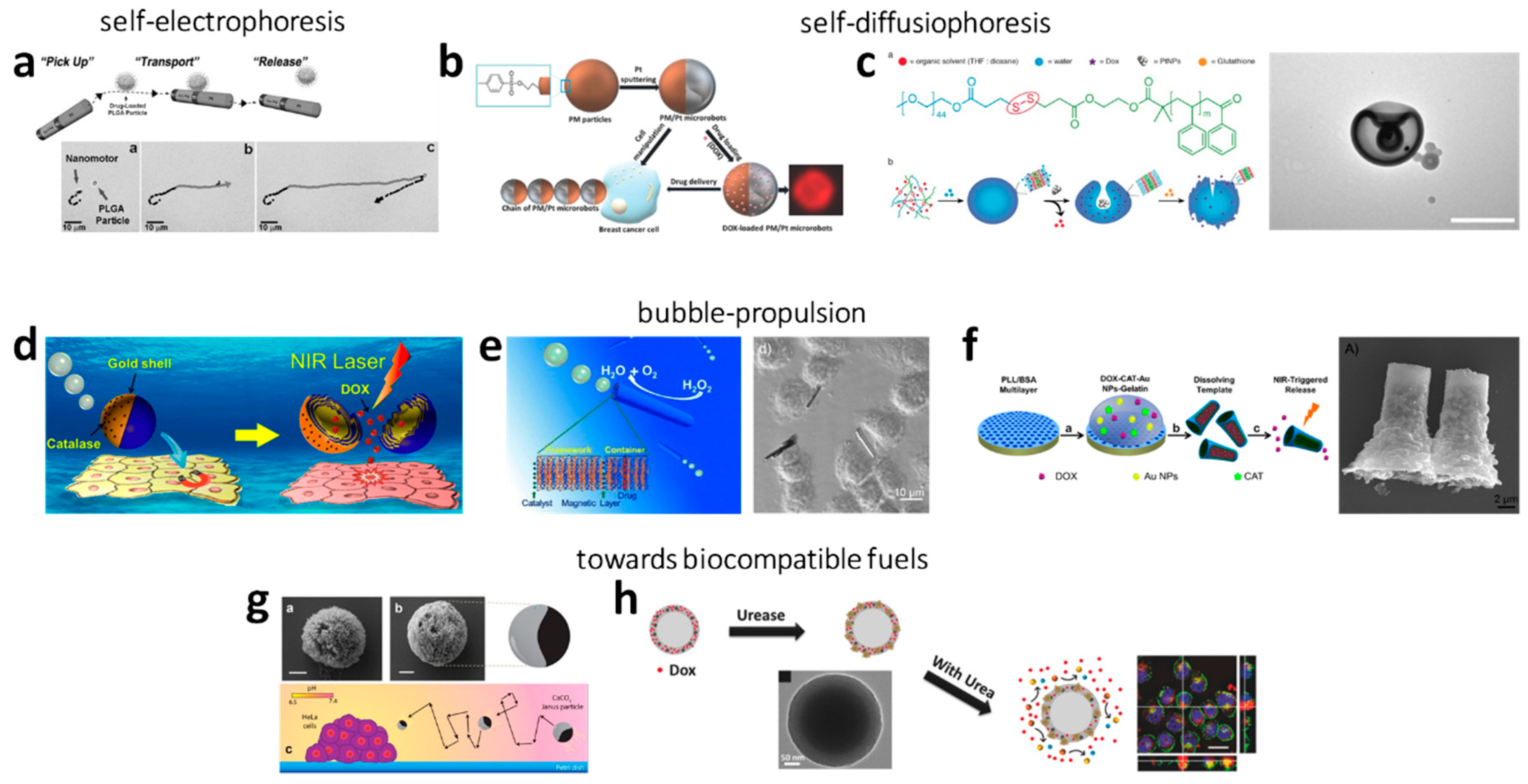 Molecules 24 03410 g001 Molecules 24 03410 g001