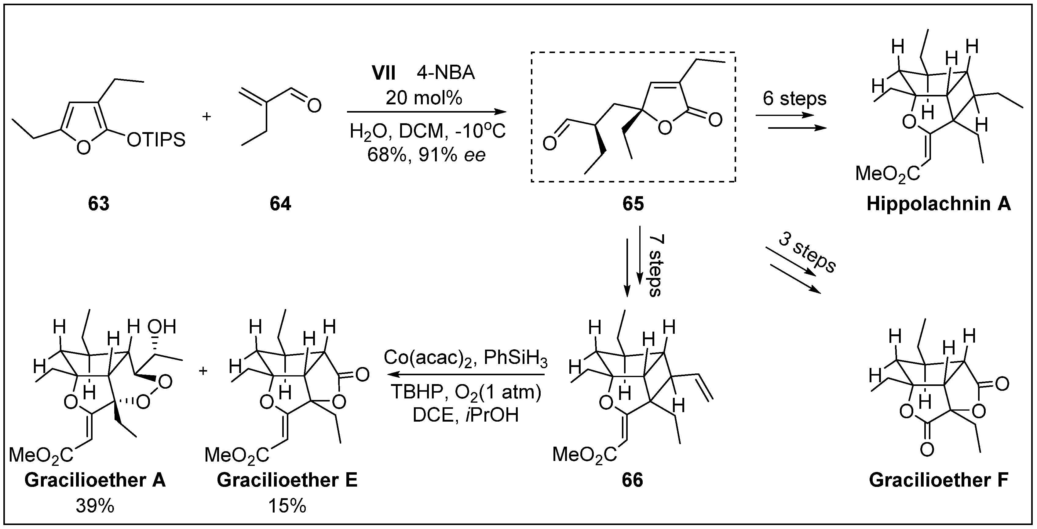 Molecules 24 03412 sch020