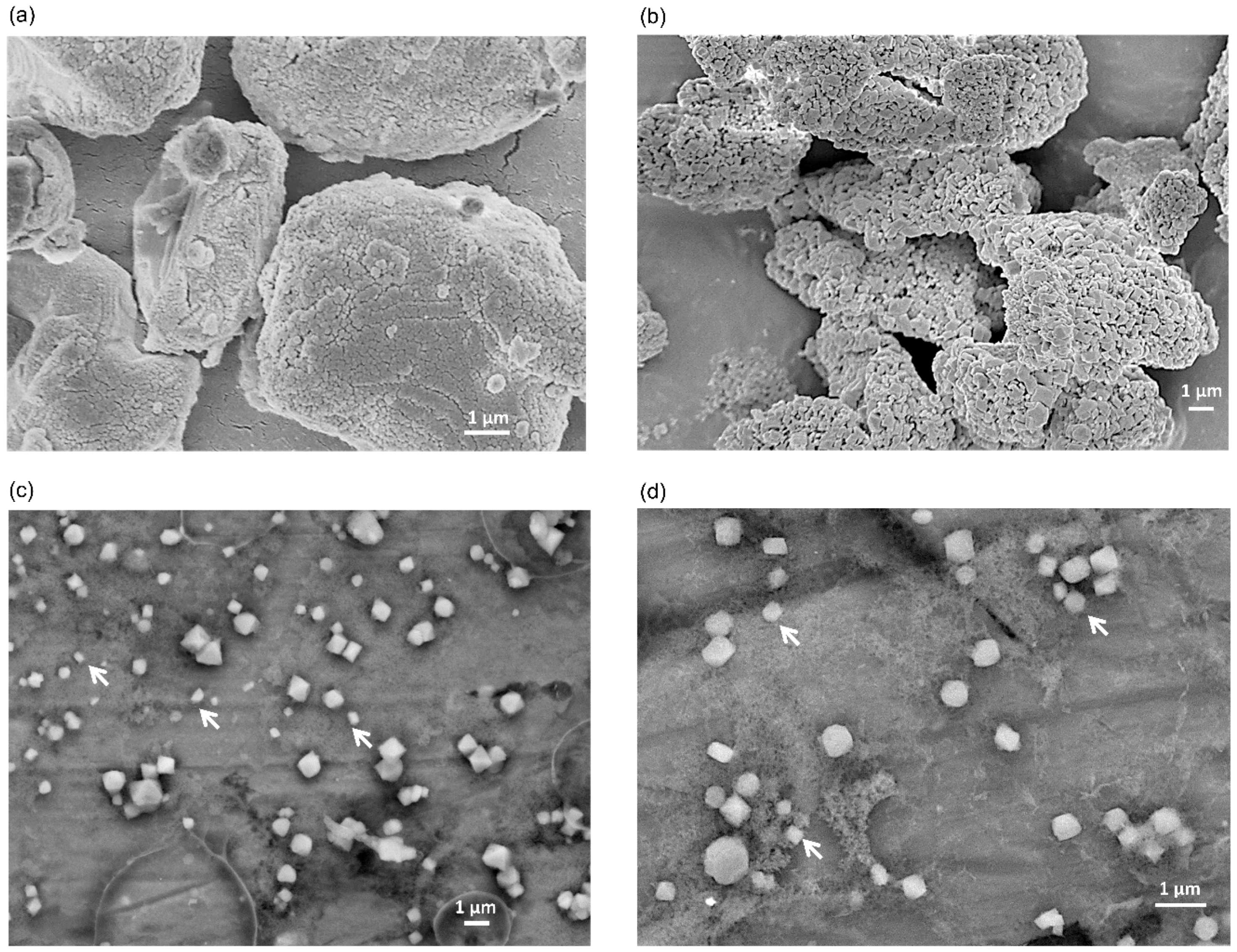Molecules 24 03415 g003