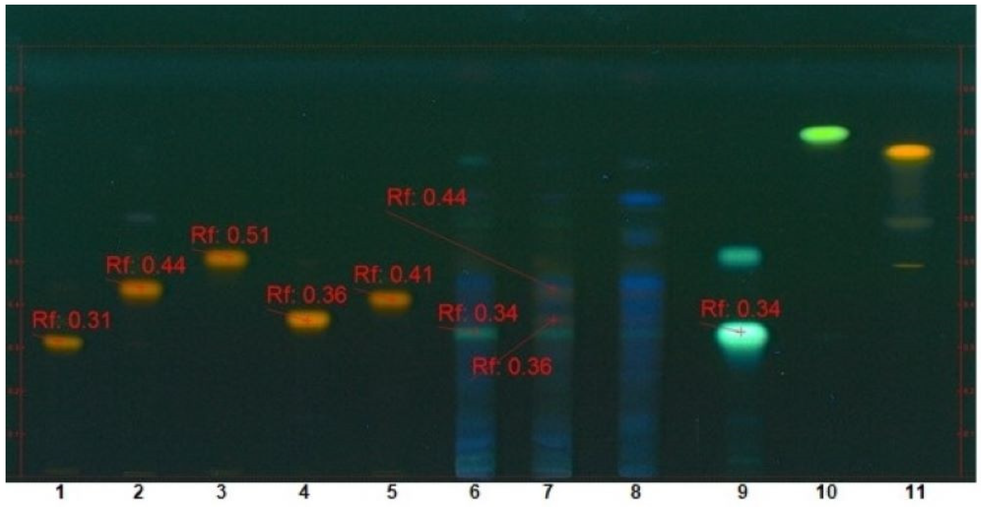 Molecules 24 03416 g003 Molecules 24 03416 g003