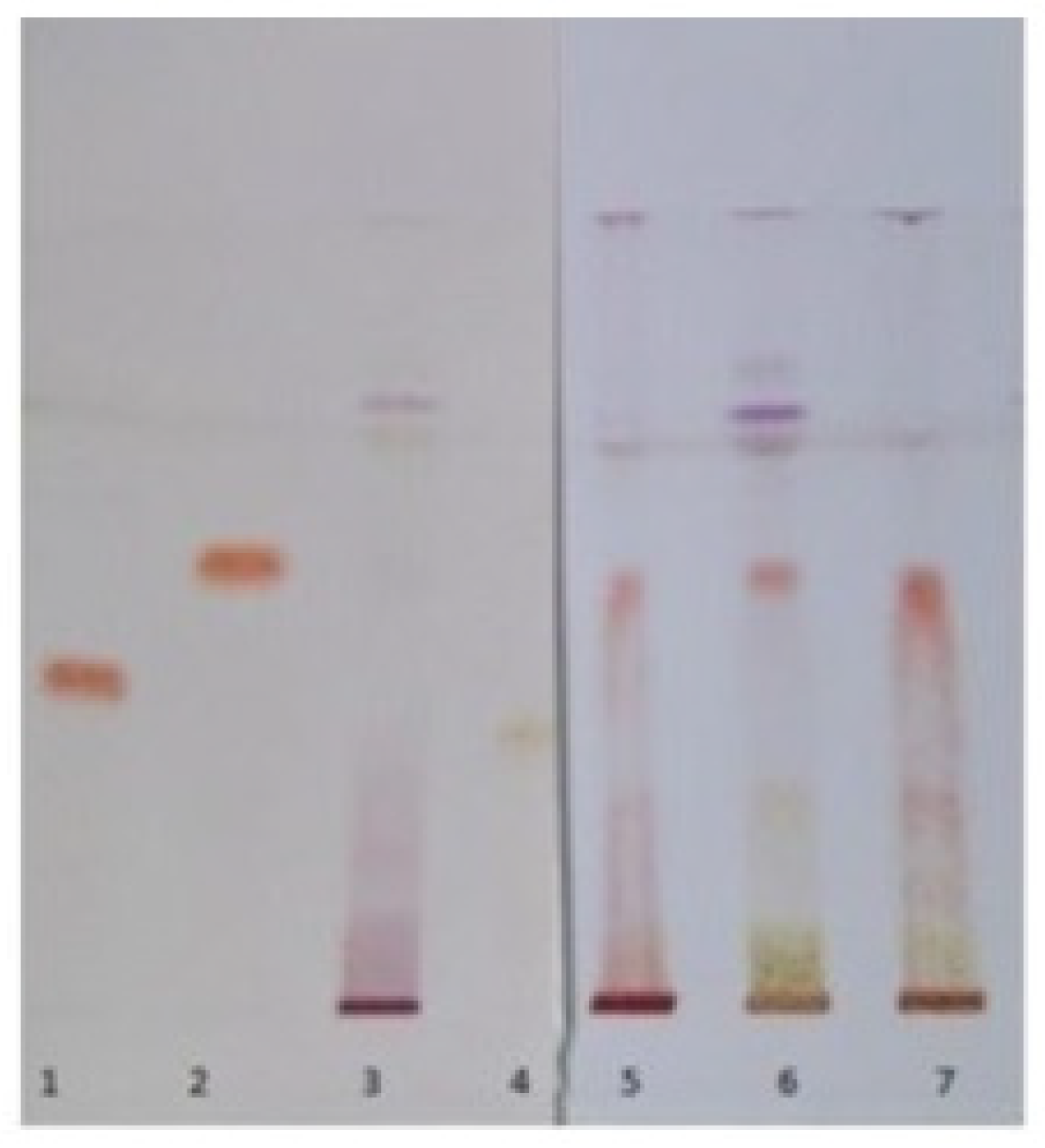 Molecules 24 03416 g009 Molecules 24 03416 g009
