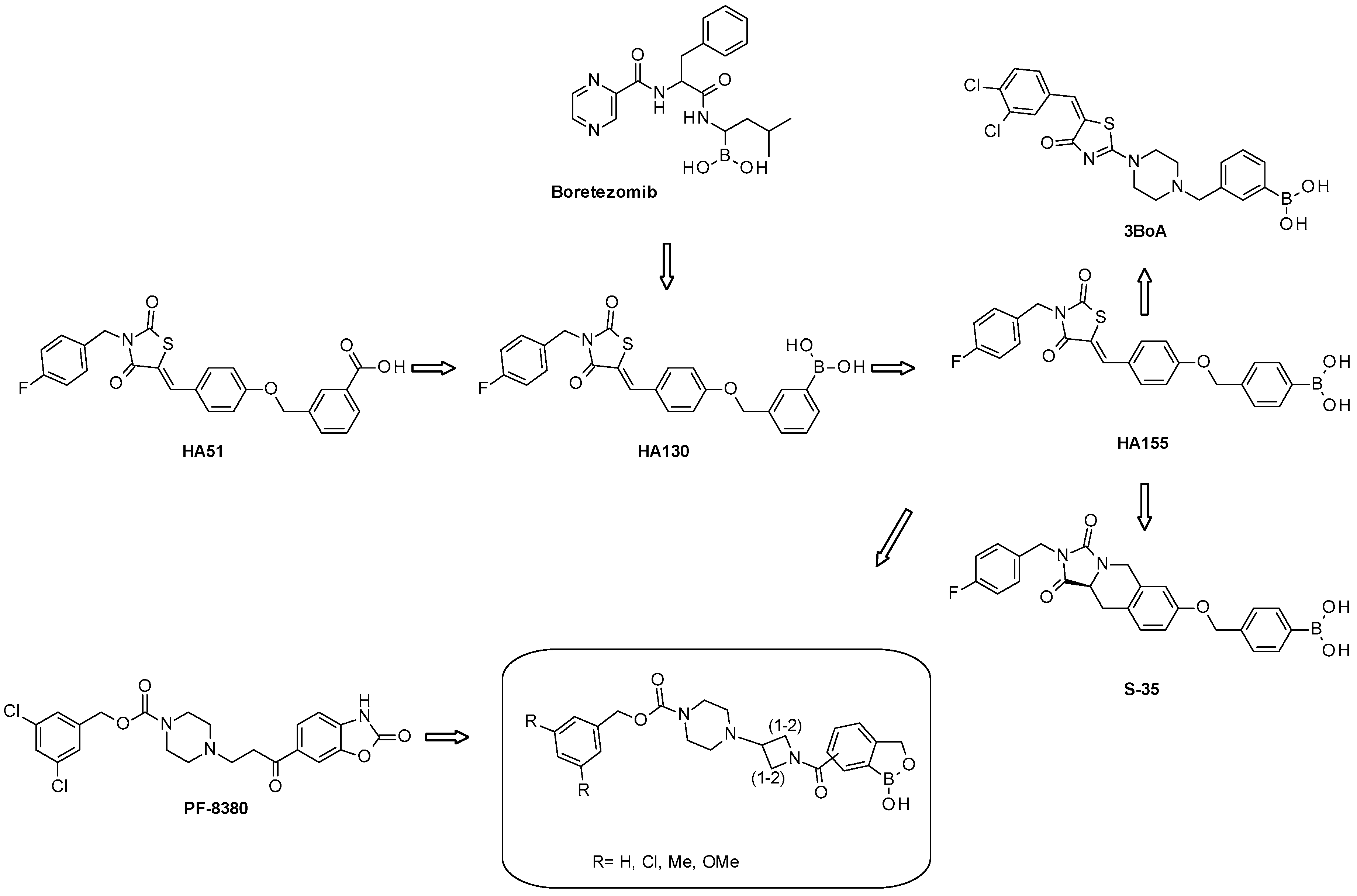 Molecules 24 03419 g002
