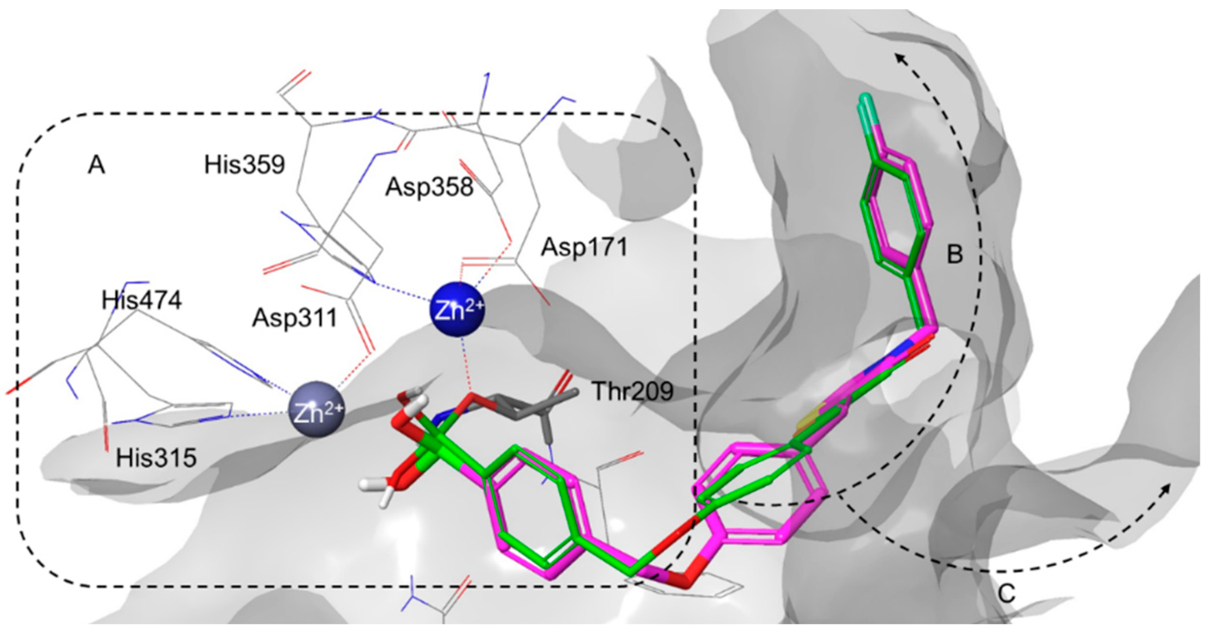Molecules 24 03419 g006