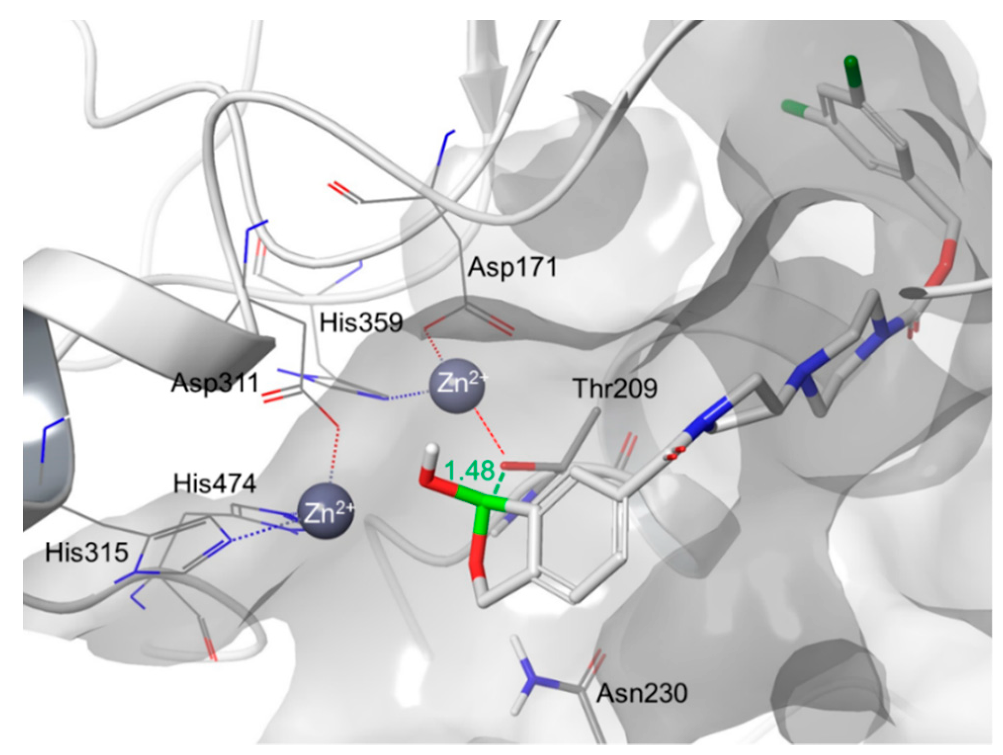 Molecules 24 03419 g007