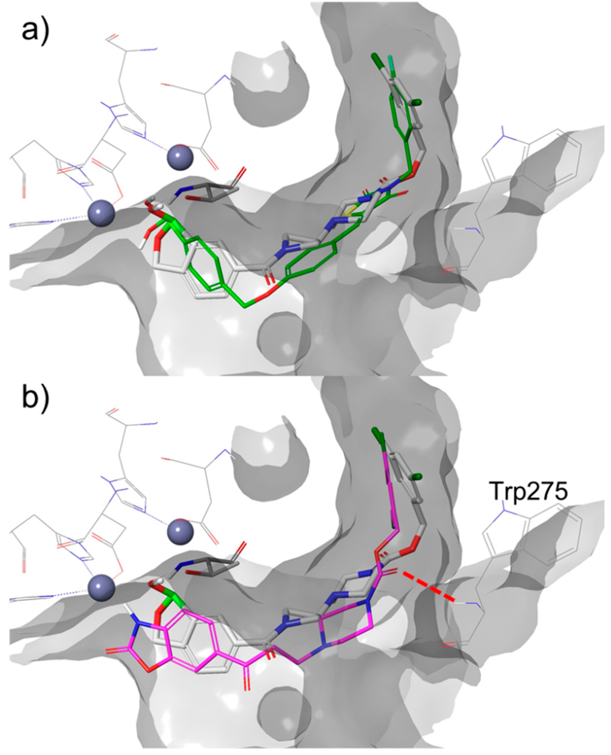 Molecules 24 03419 g008