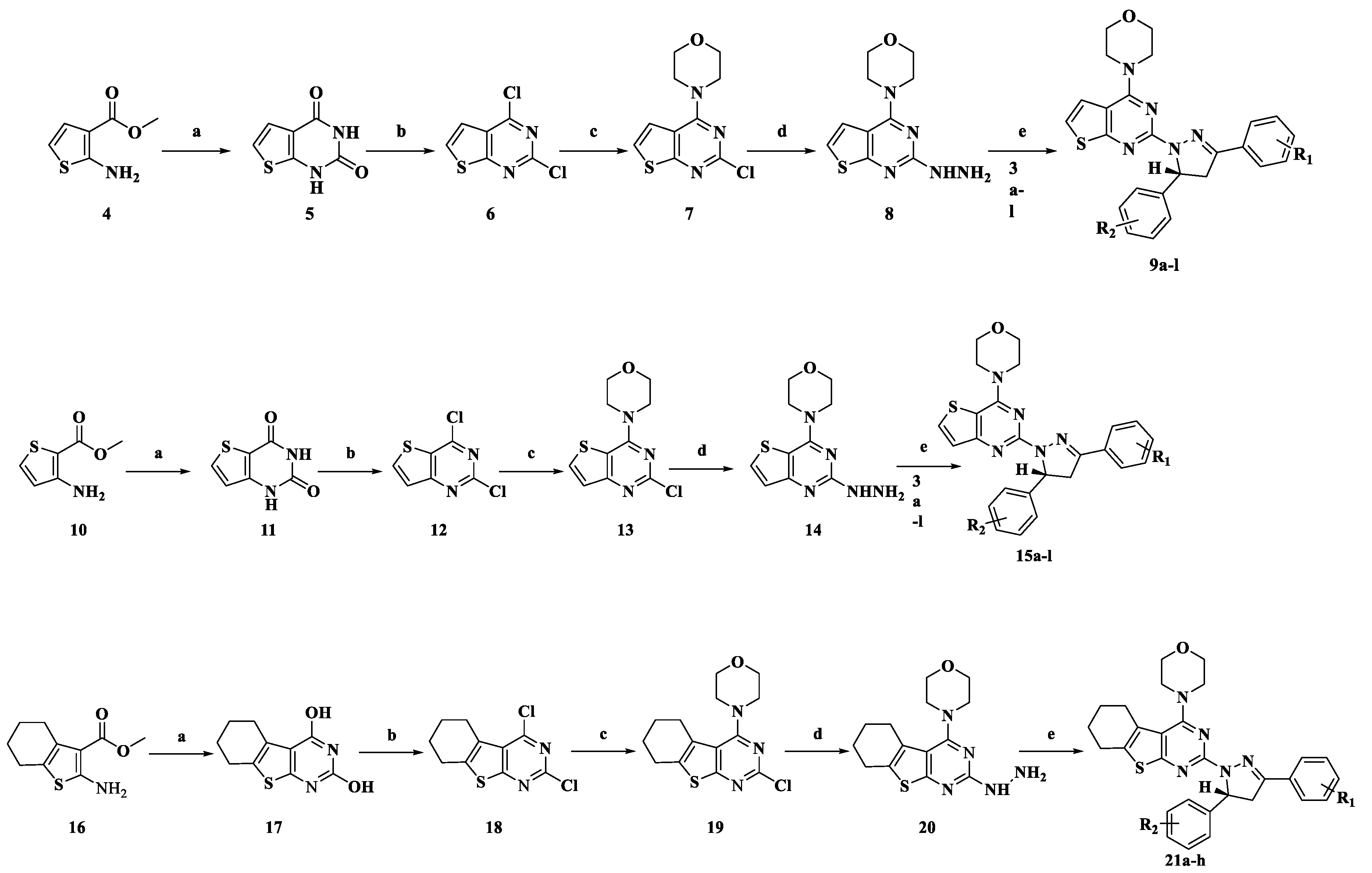 Molecules 24 03422 sch002