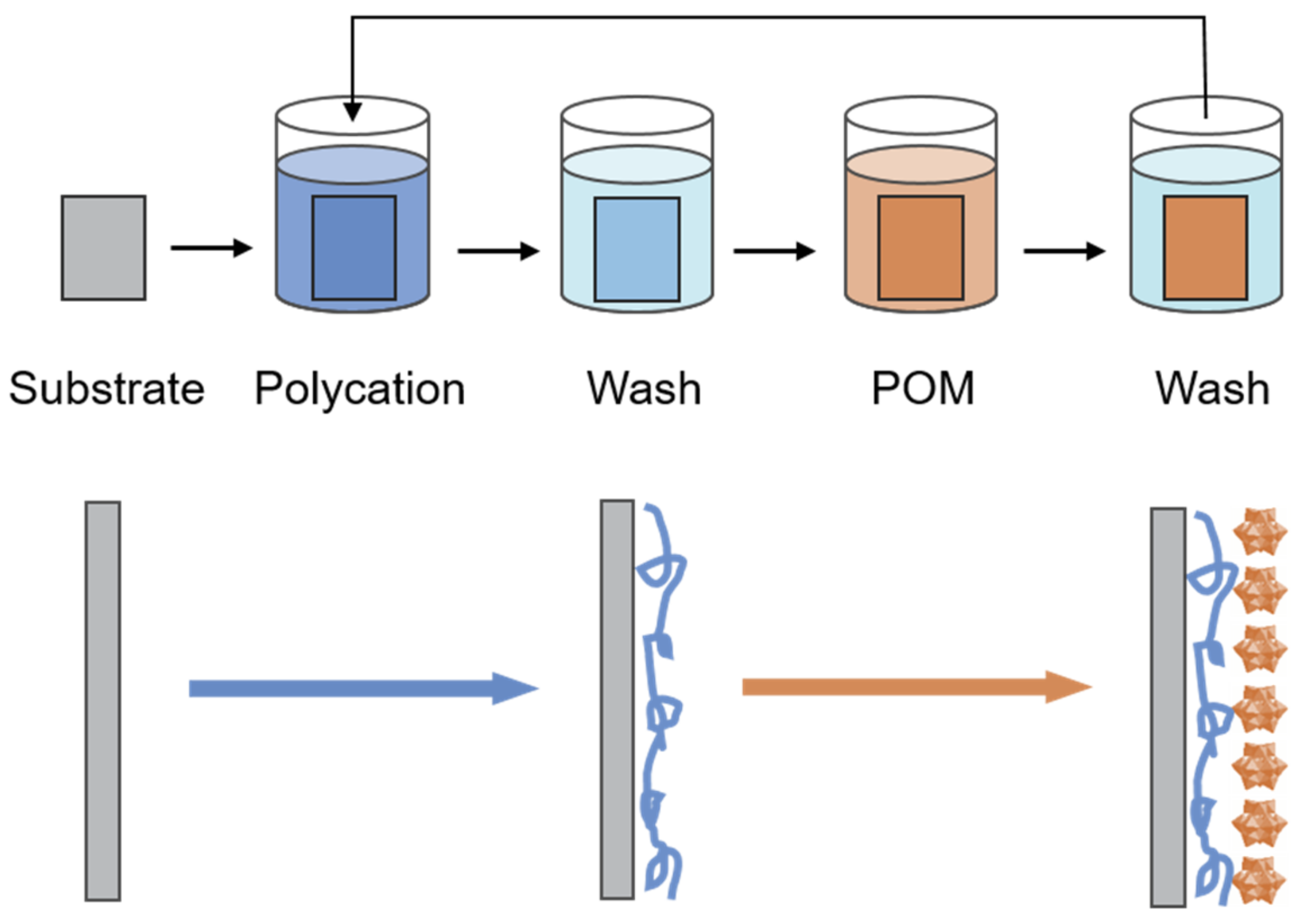 Molecules 24 03425 g003
