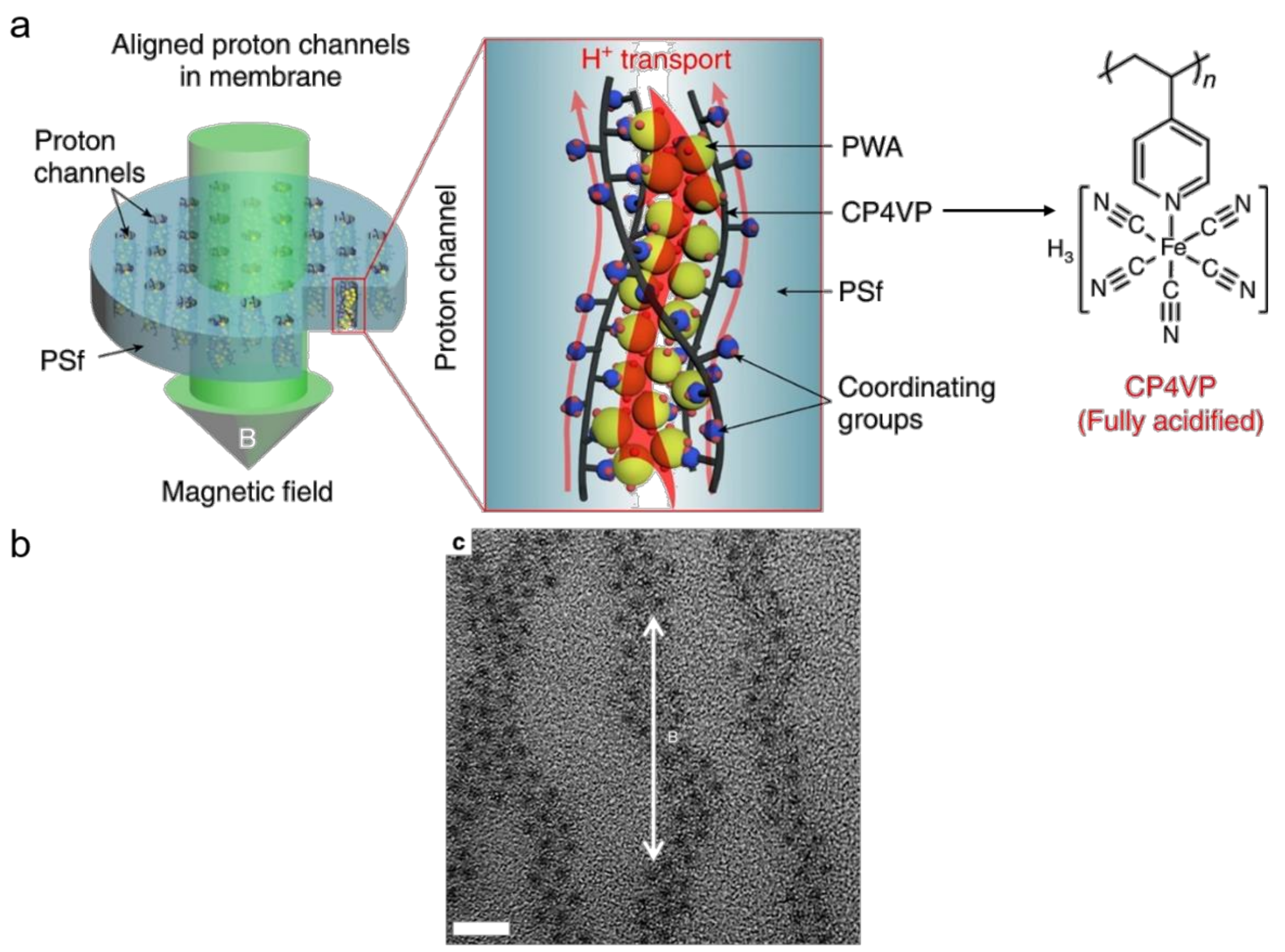 Molecules 24 03425 g007