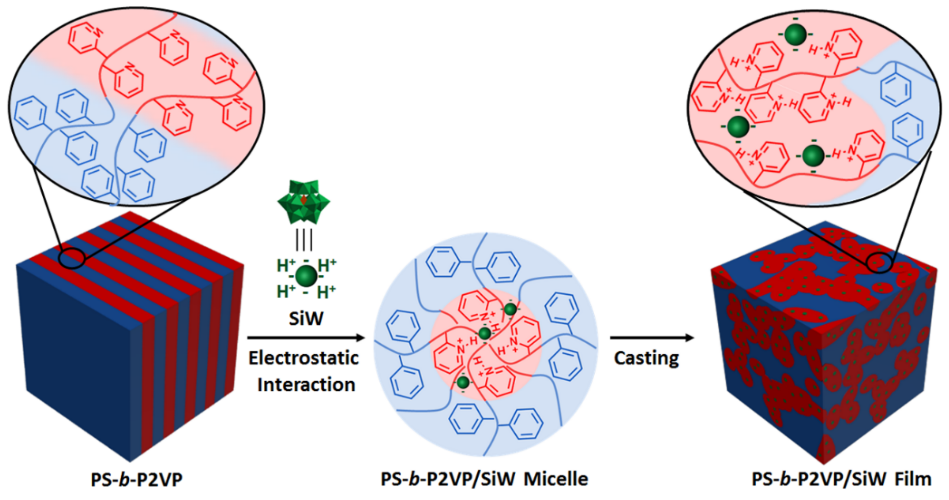 Molecules 24 03425 g008
