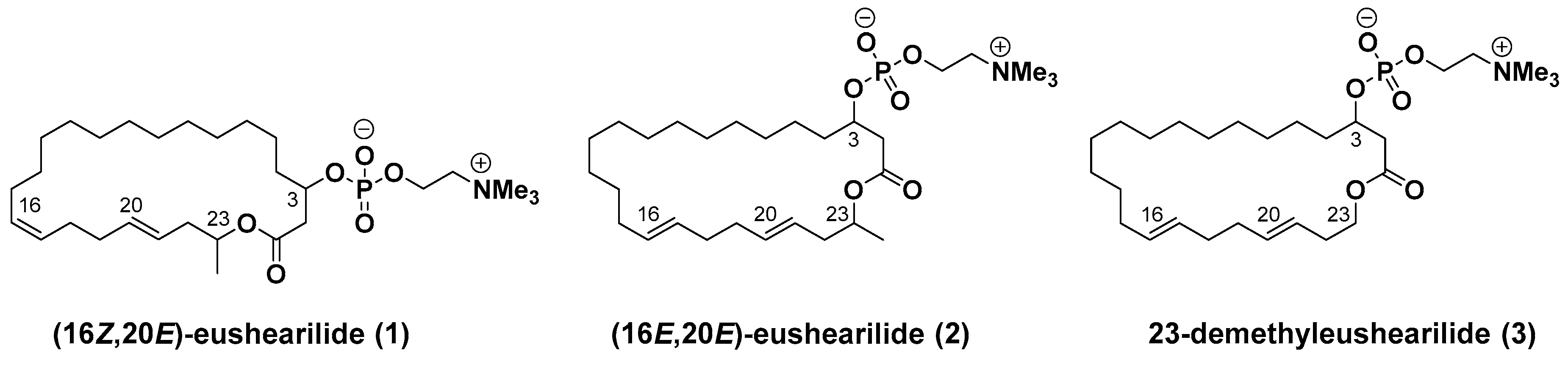Molecules 24 03437 g001