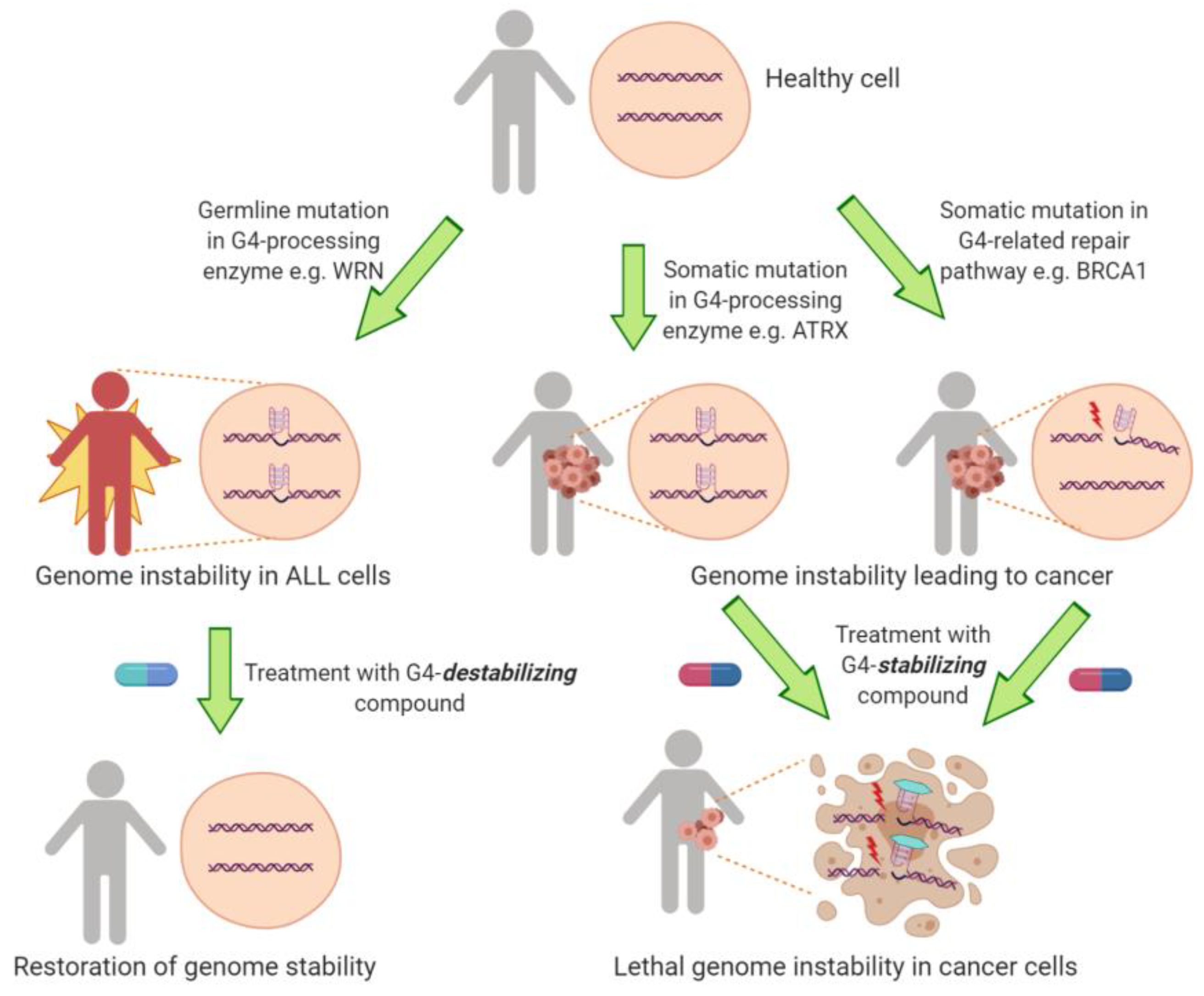 Molecules 24 03439 g004
