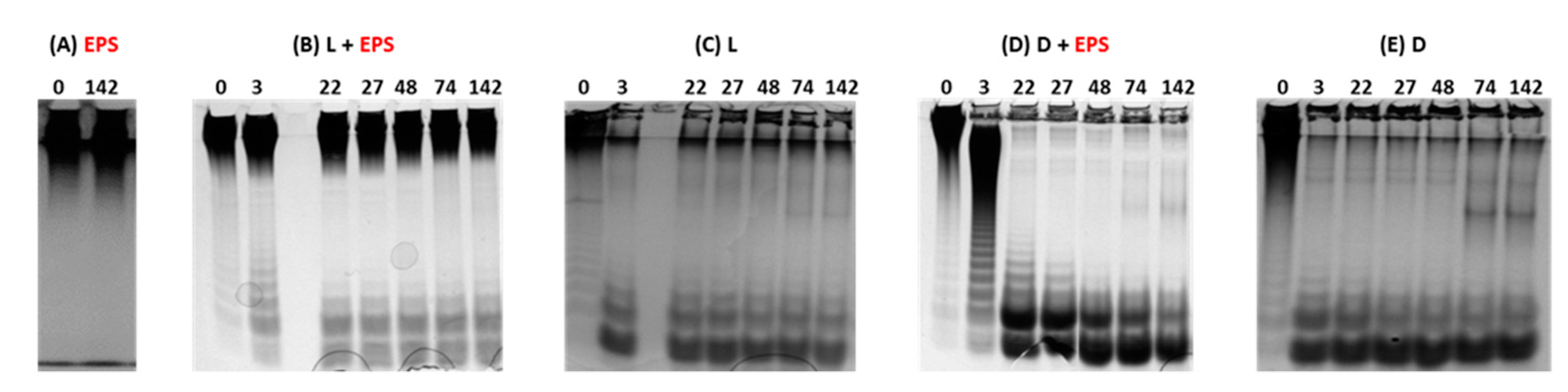 Molecules 24 03441 g002