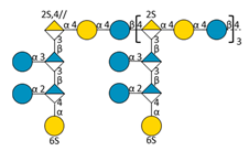 Molecules 24 03441 i004 Molecules 24 03441 i004