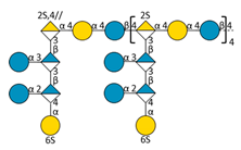 Molecules 24 03441 i005 Molecules 24 03441 i005