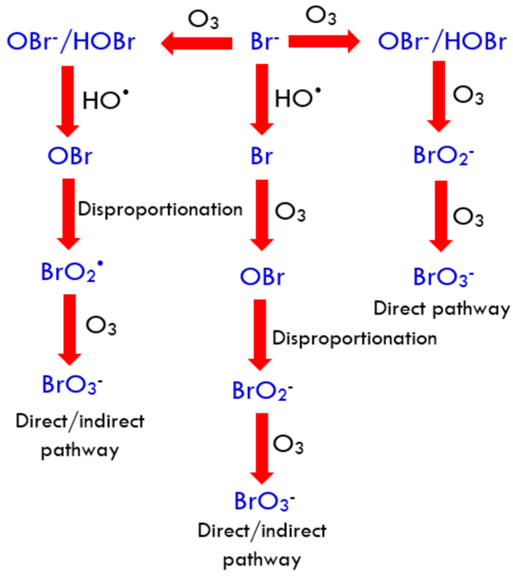Molecules 24 03450 g001